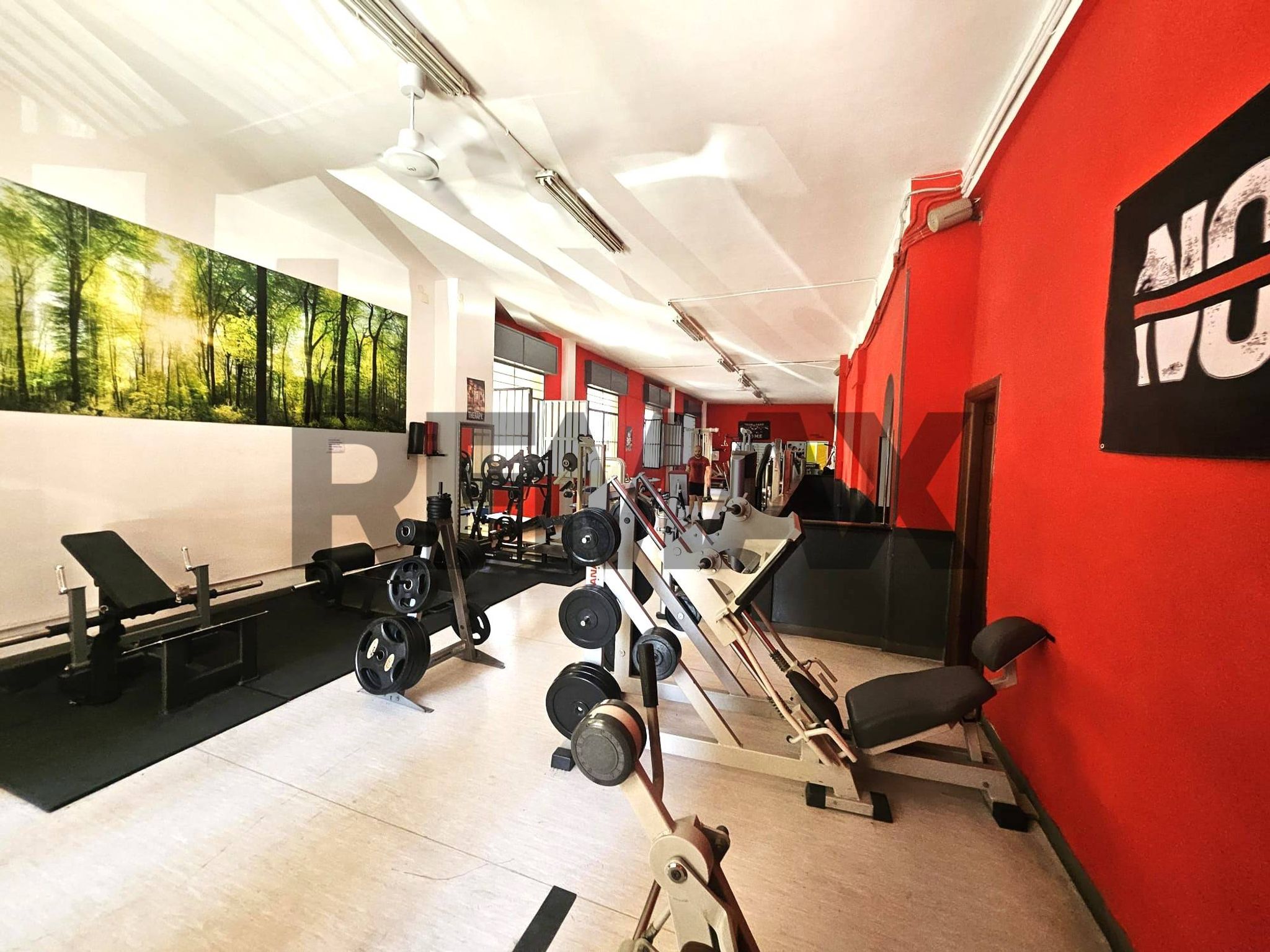 Palestra