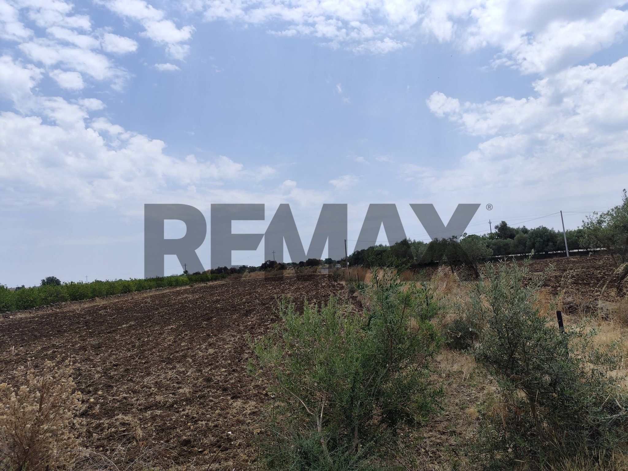 Vista delle montagne
