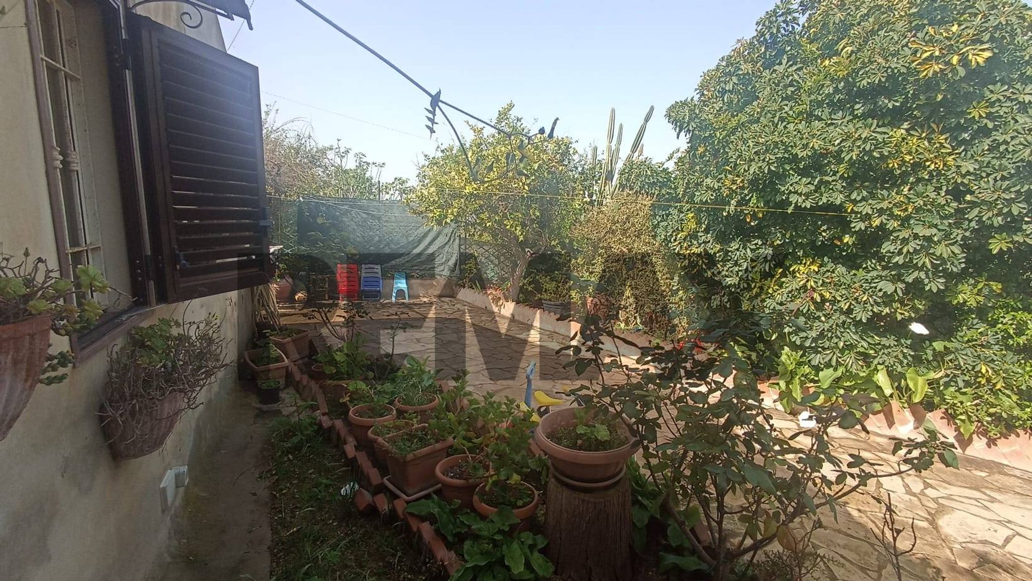 Giardino