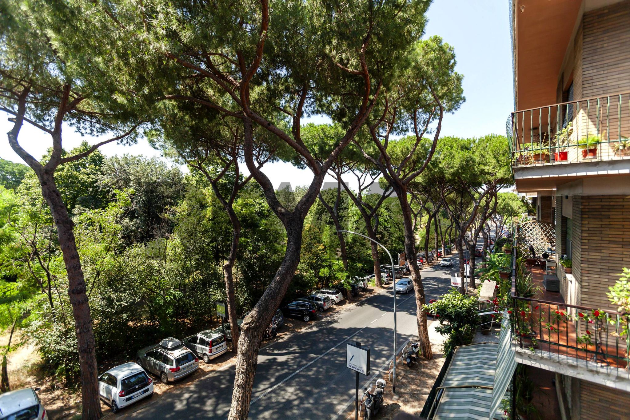 Property in Roma
