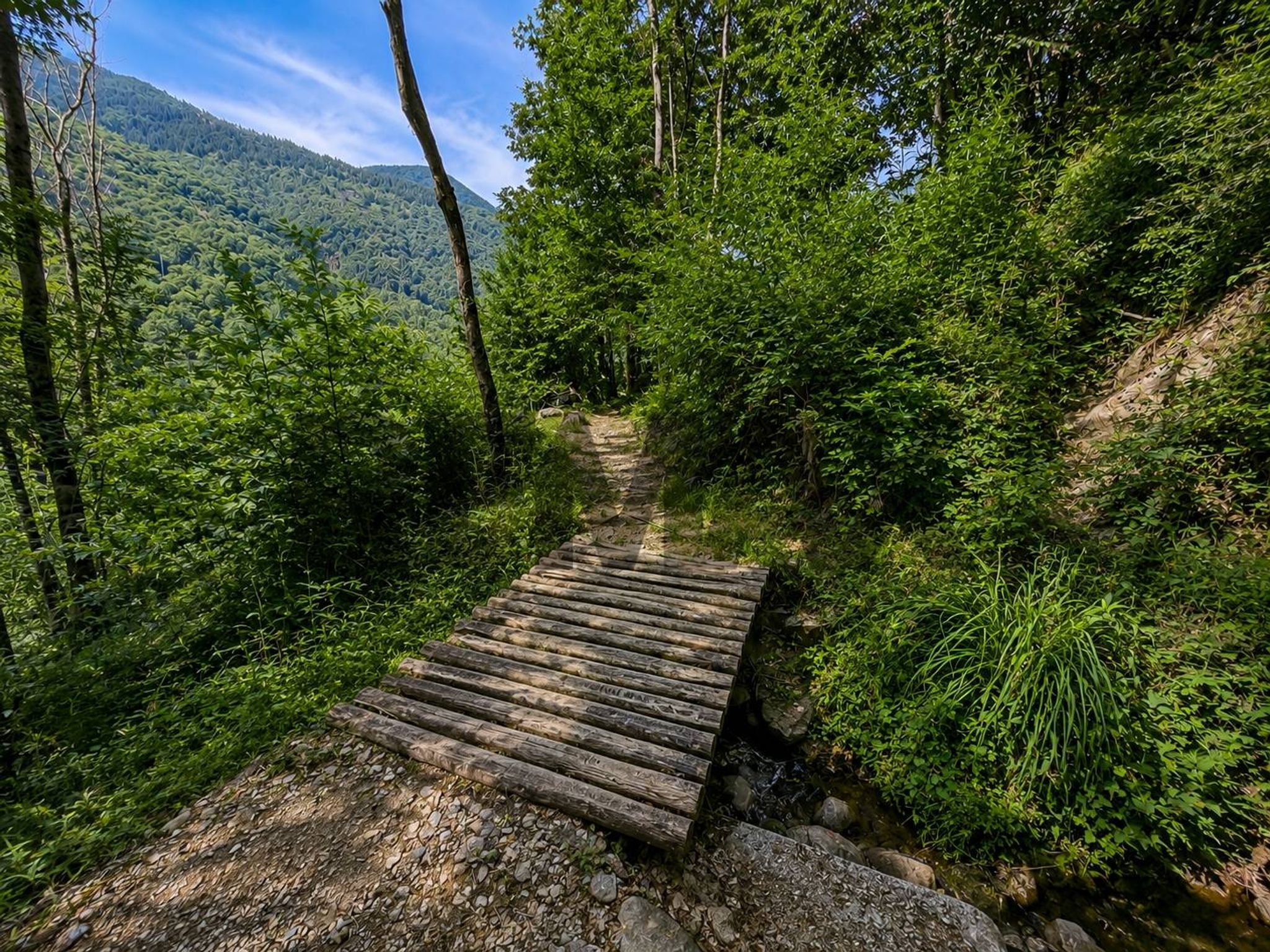 Vista delle montagne