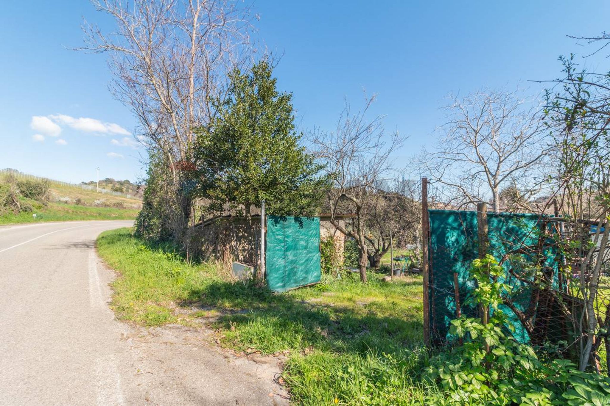 Immobile a Magliano in Toscana