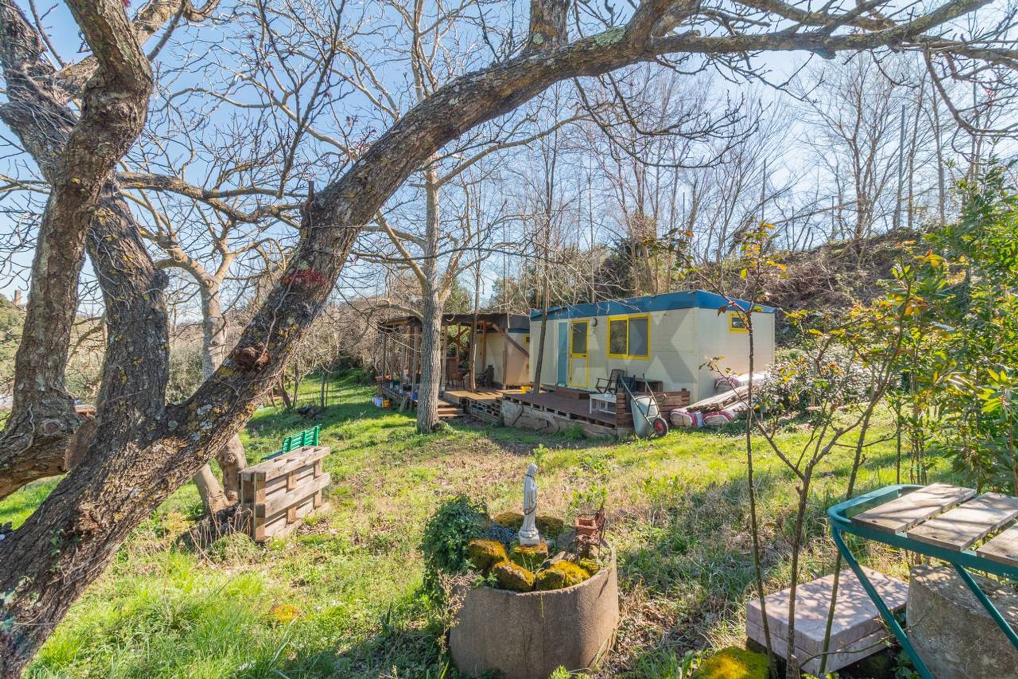 Giardino