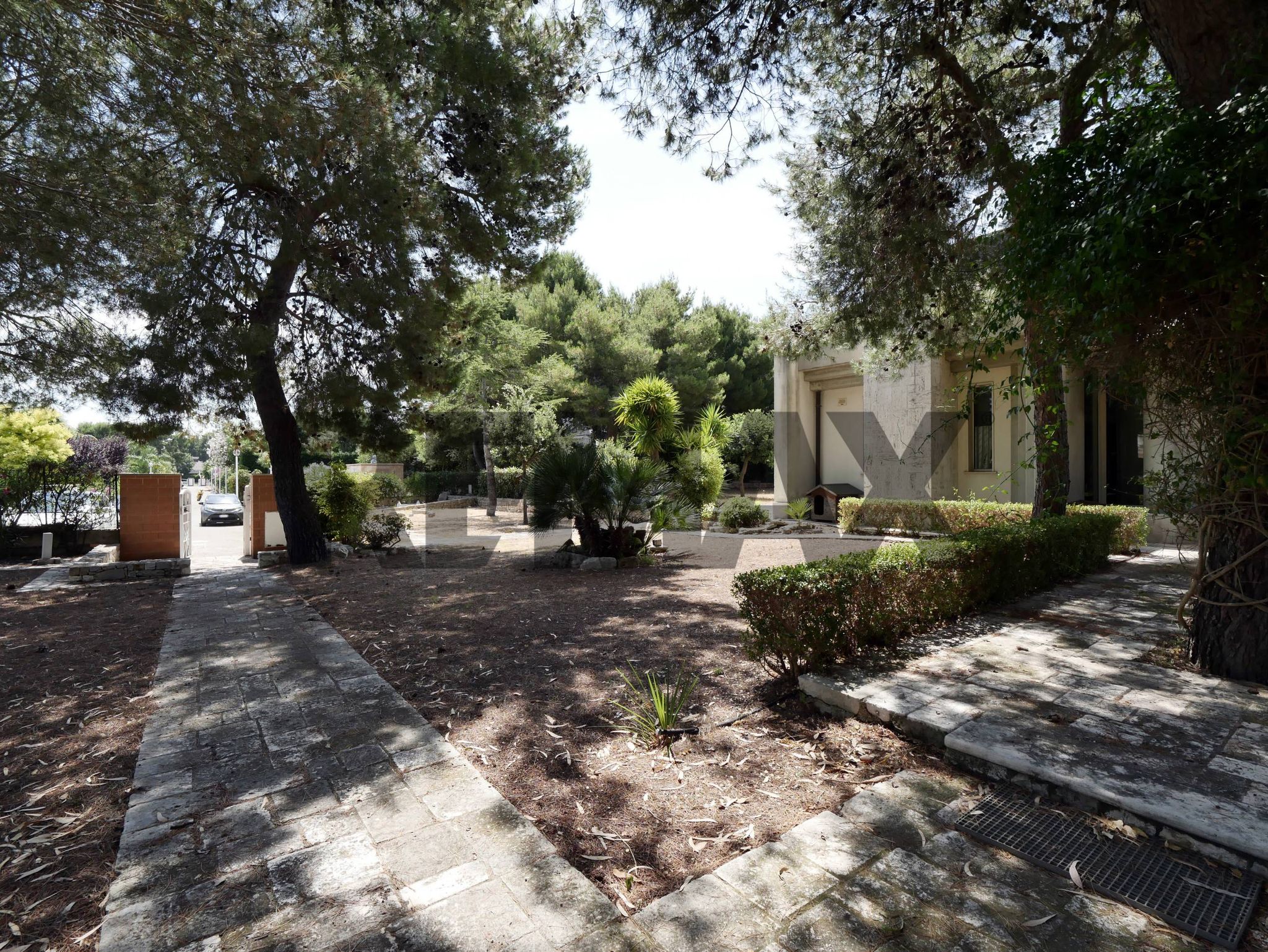 Giardino
