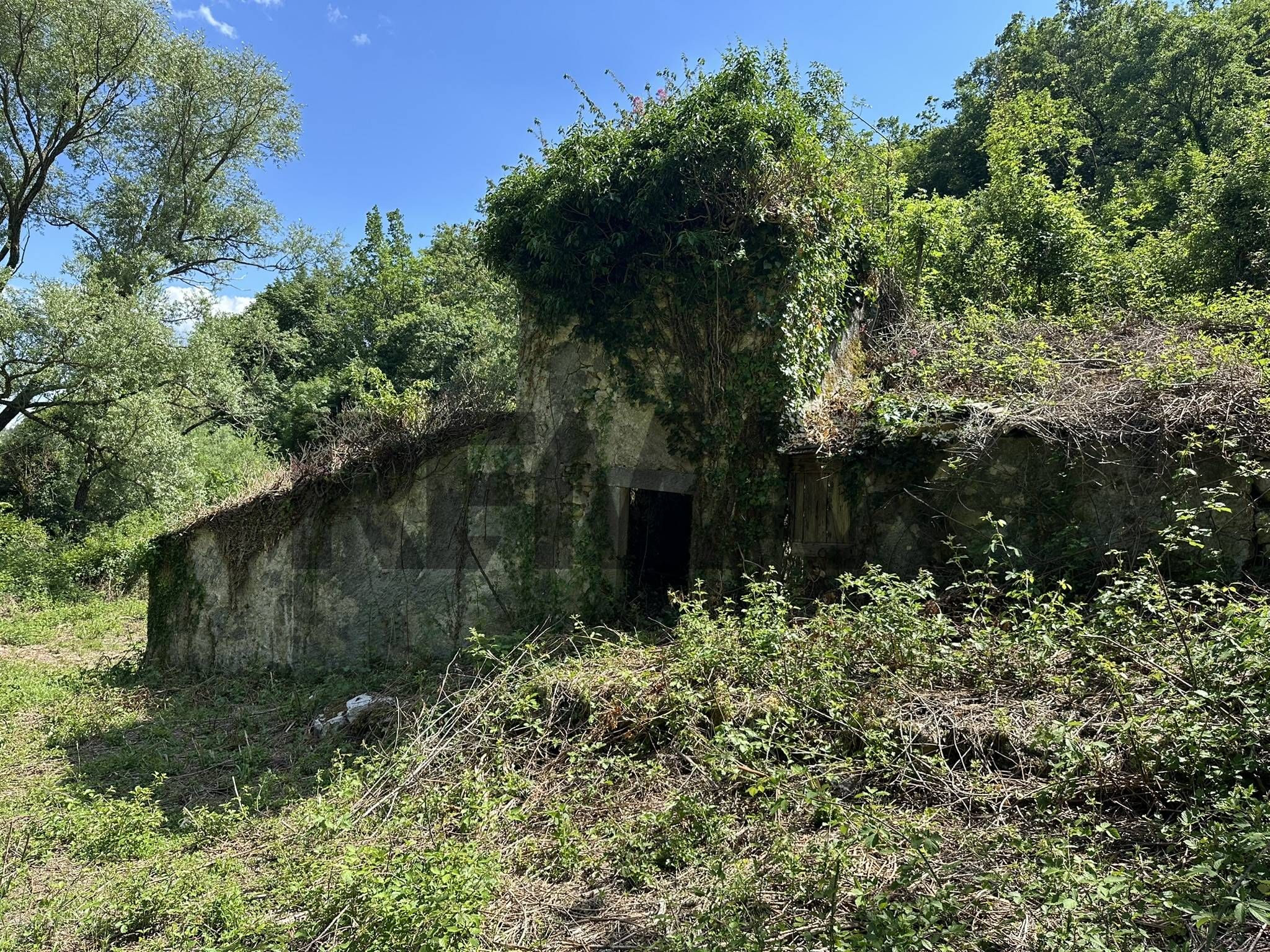 Property in Pizzone