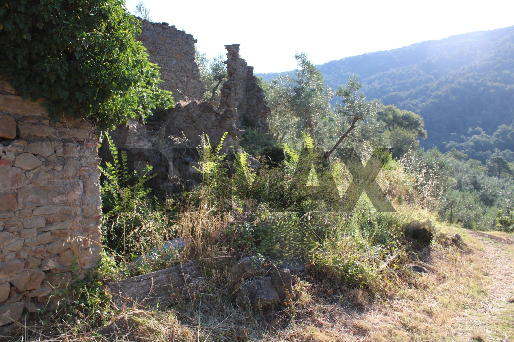 Vista delle montagne
