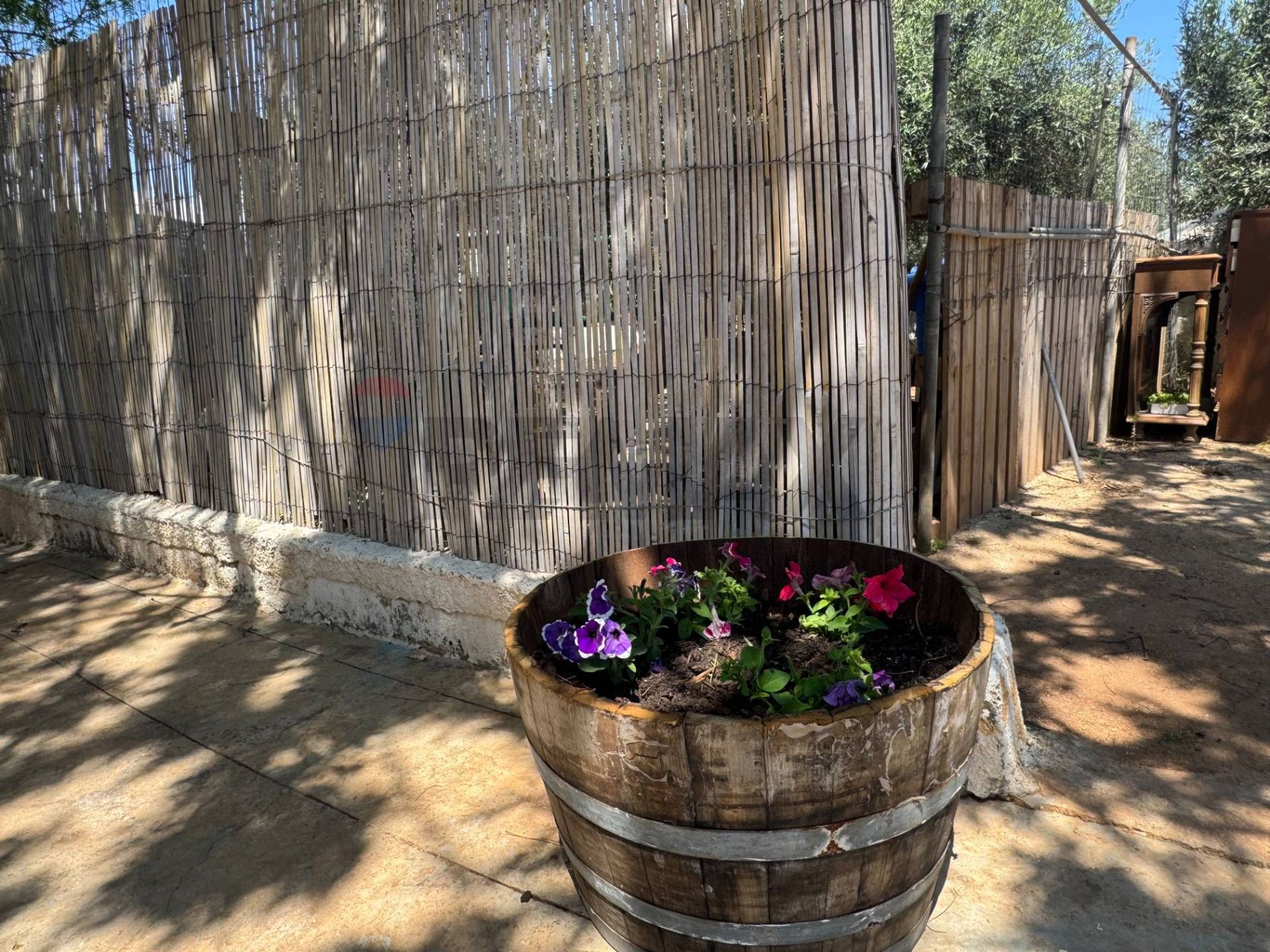 Giardino