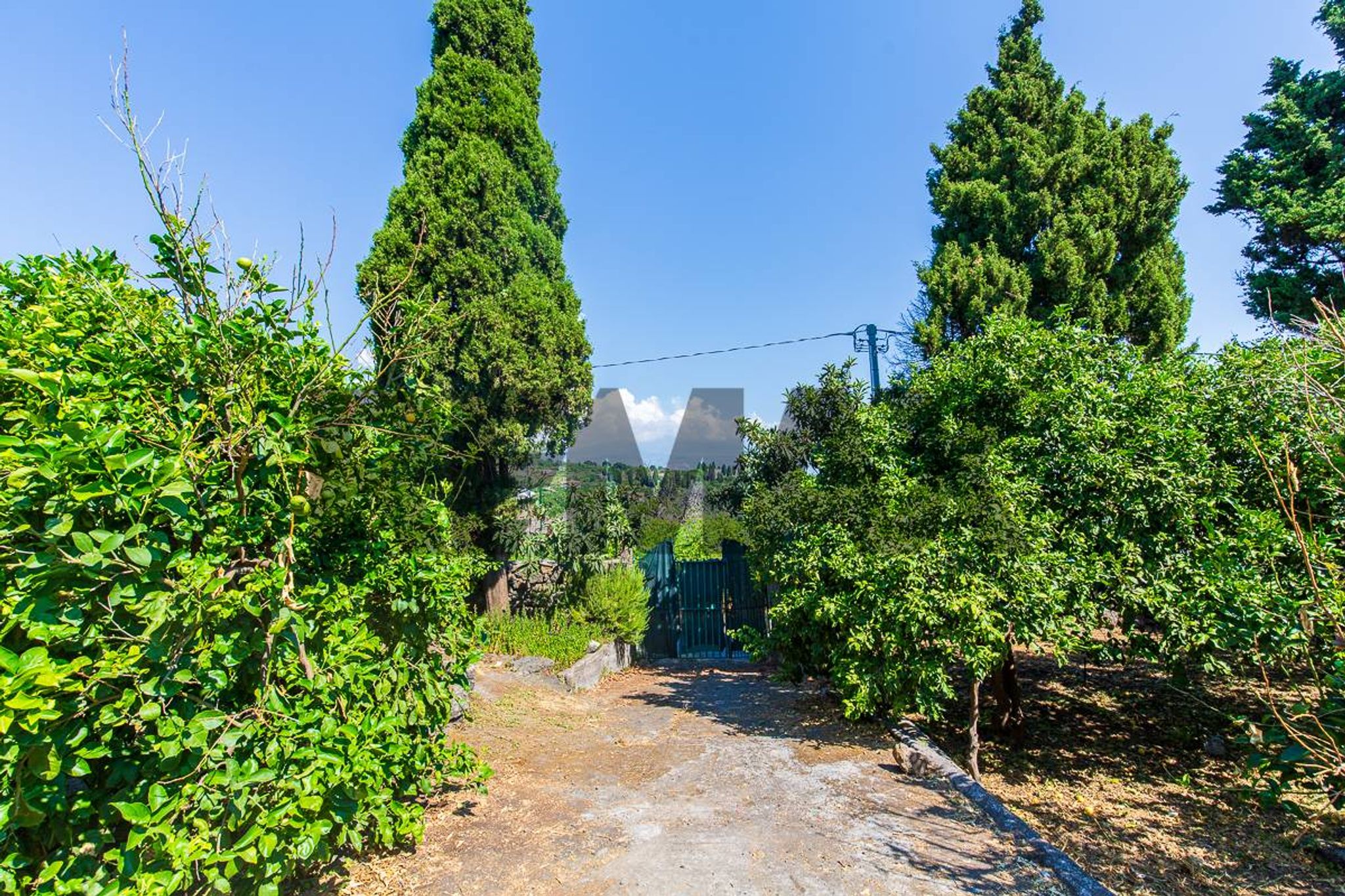 Giardino