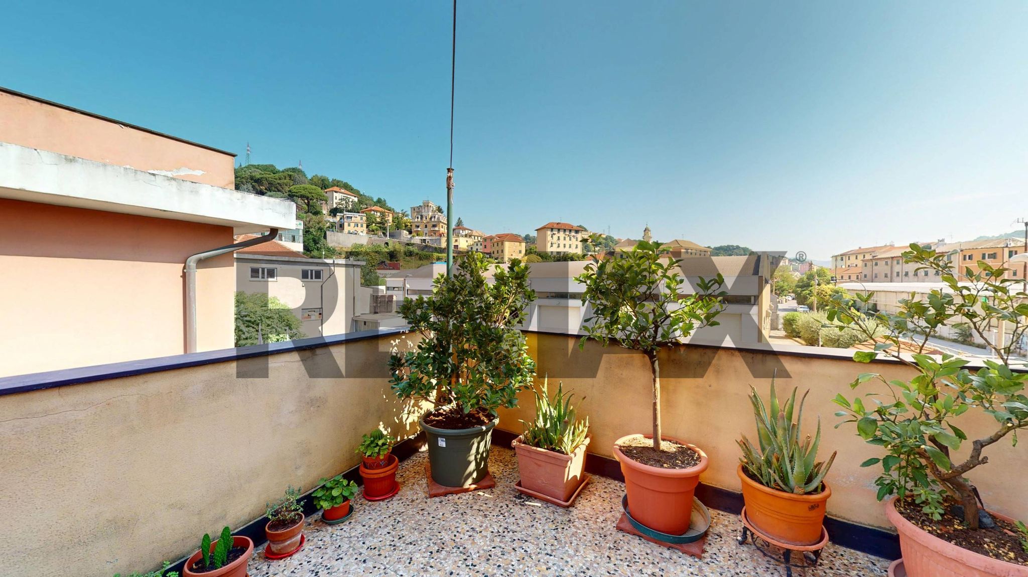 Terrazza