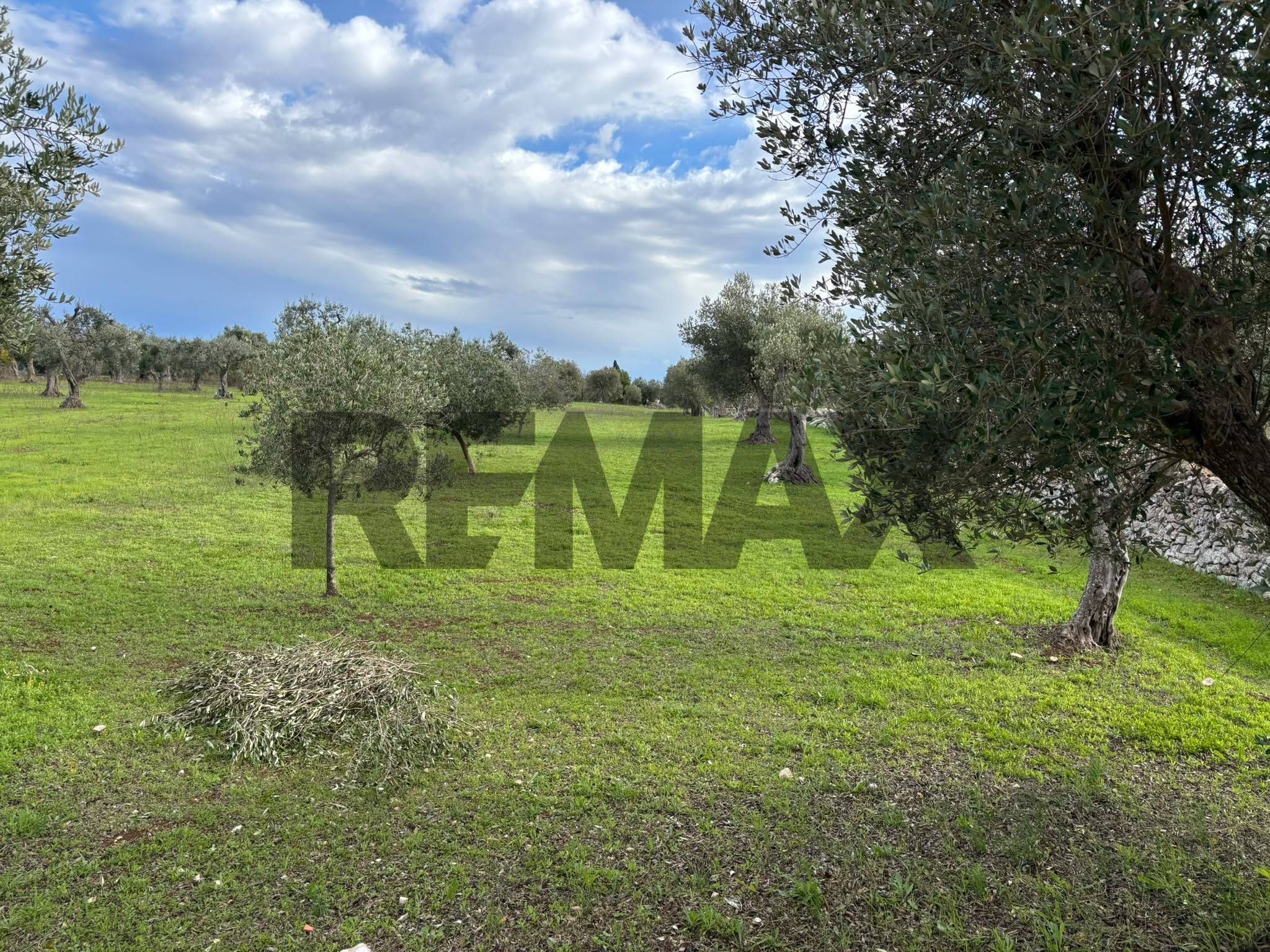 Immobile a Cisternino