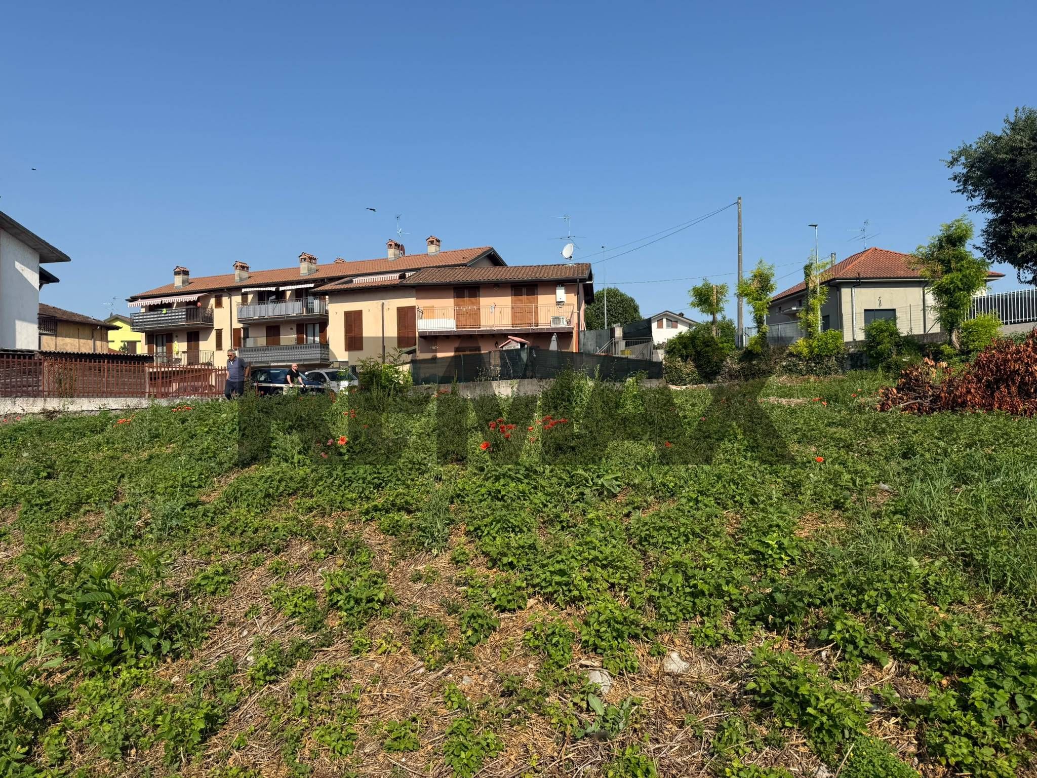 Terreno