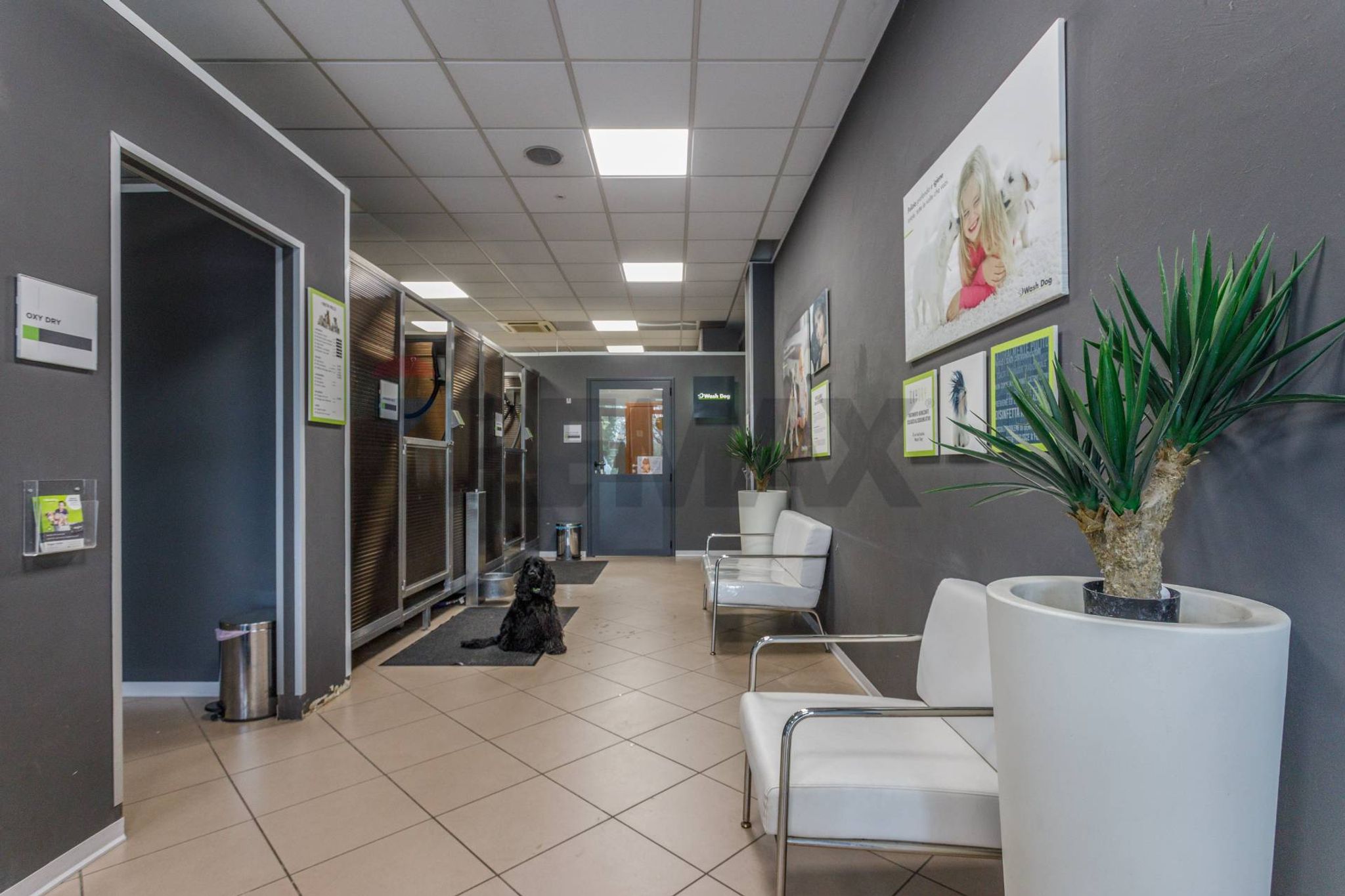 Ricezione / Lobby