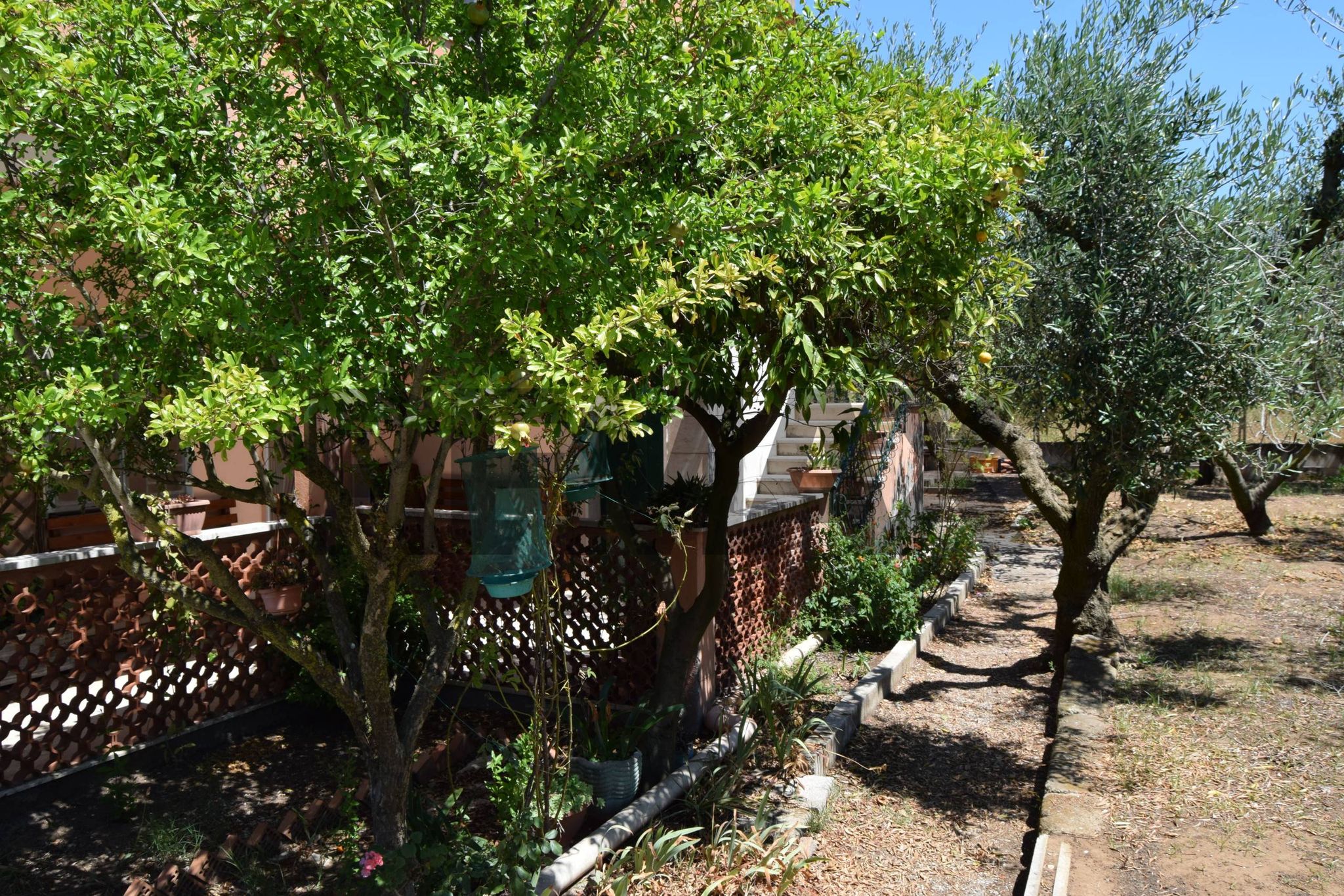 Giardino
