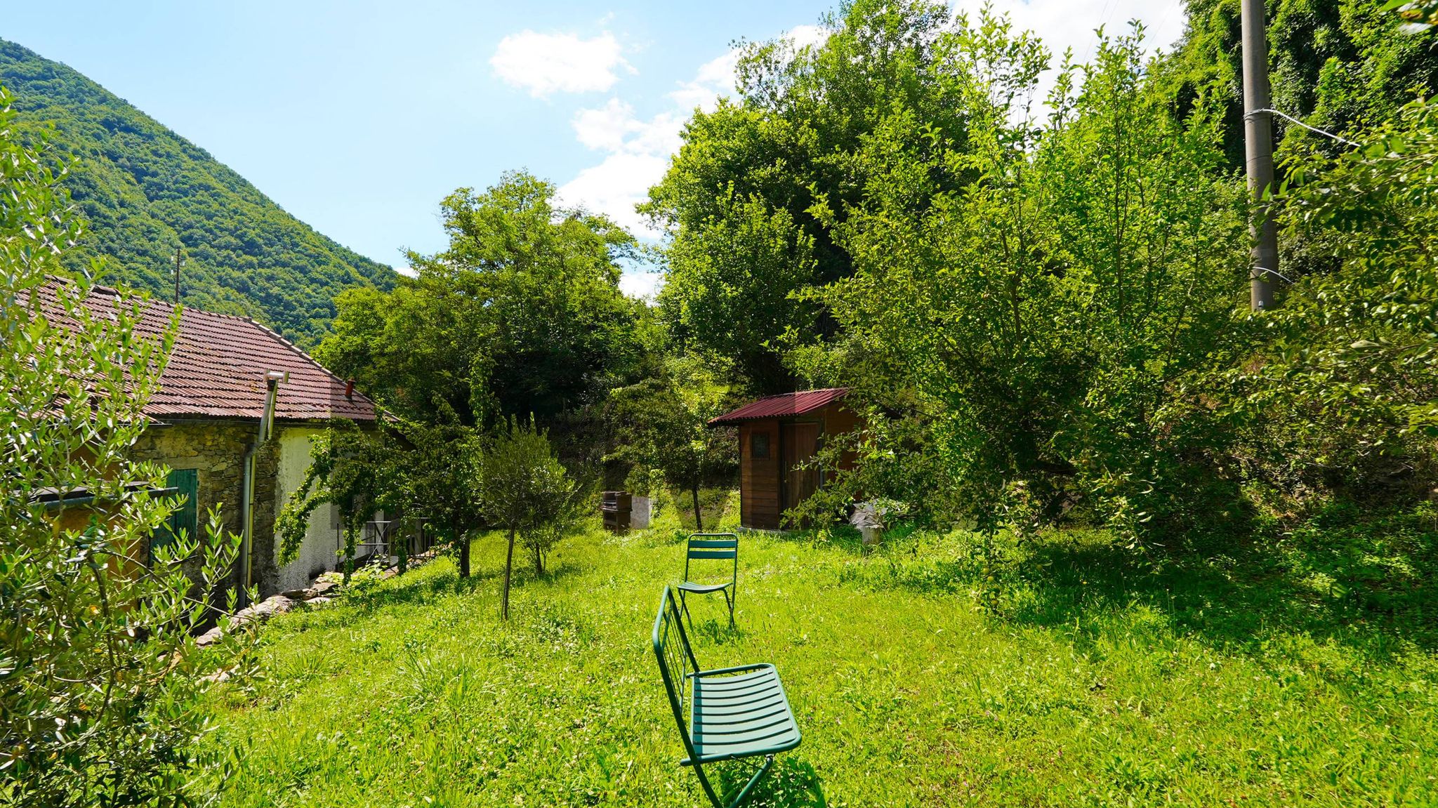 Giardino