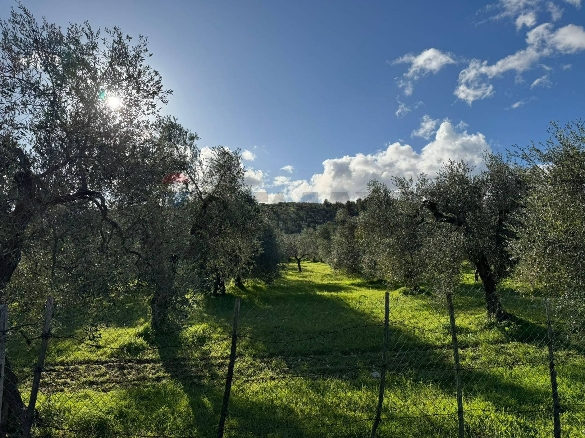 terreno