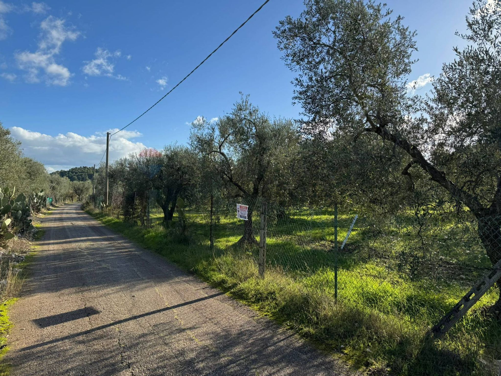 terreno