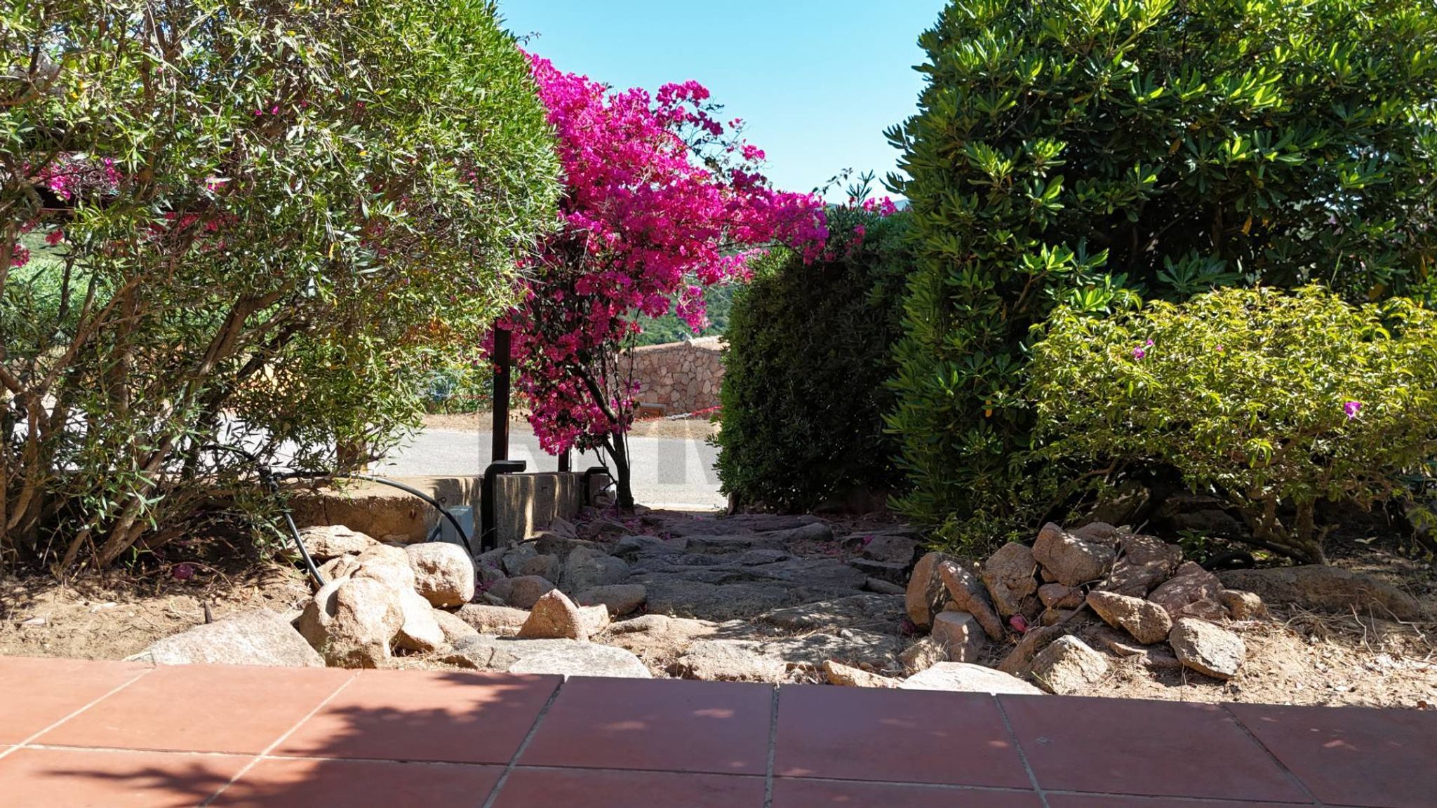 Giardino