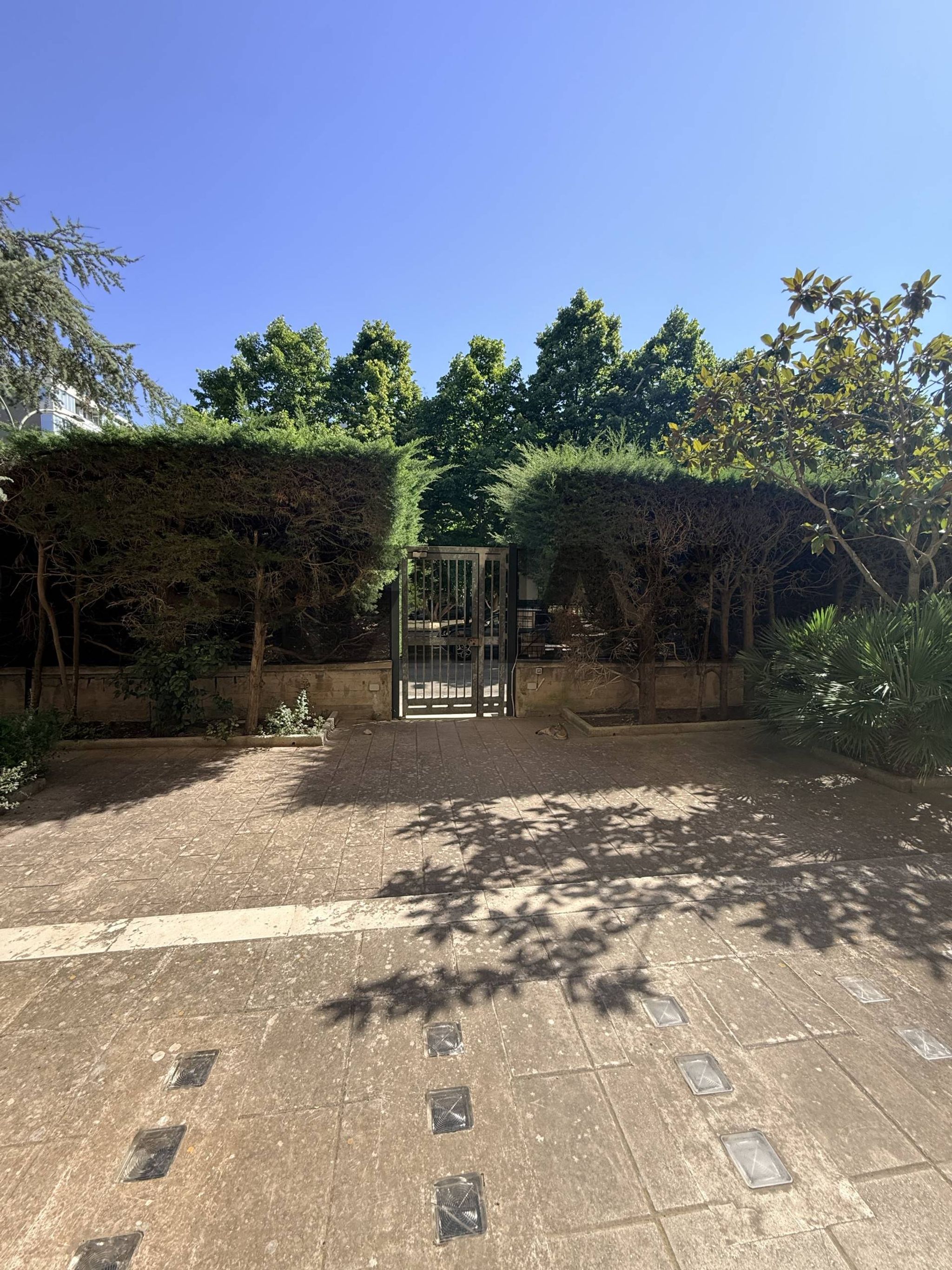 Giardino