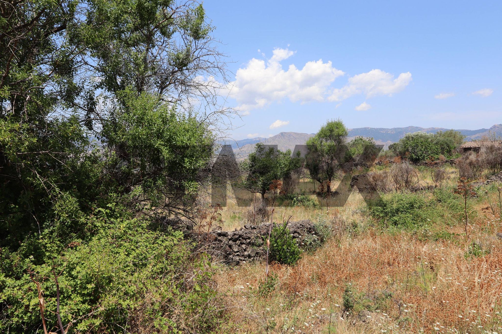 Vista delle montagne
