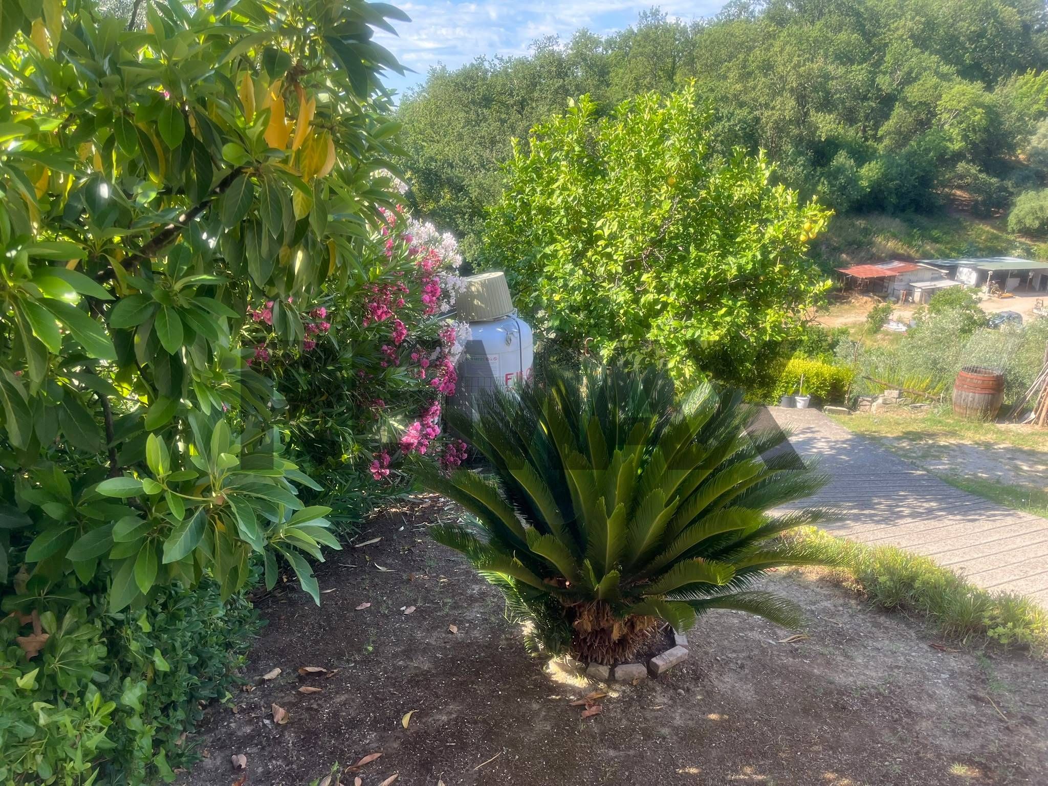 Giardino