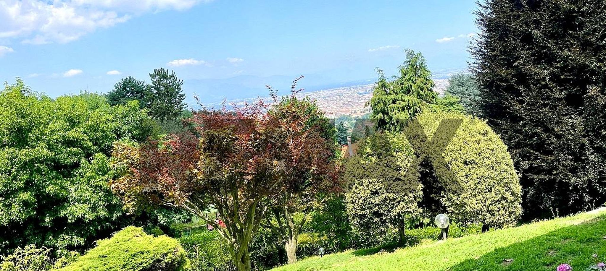 Giardino