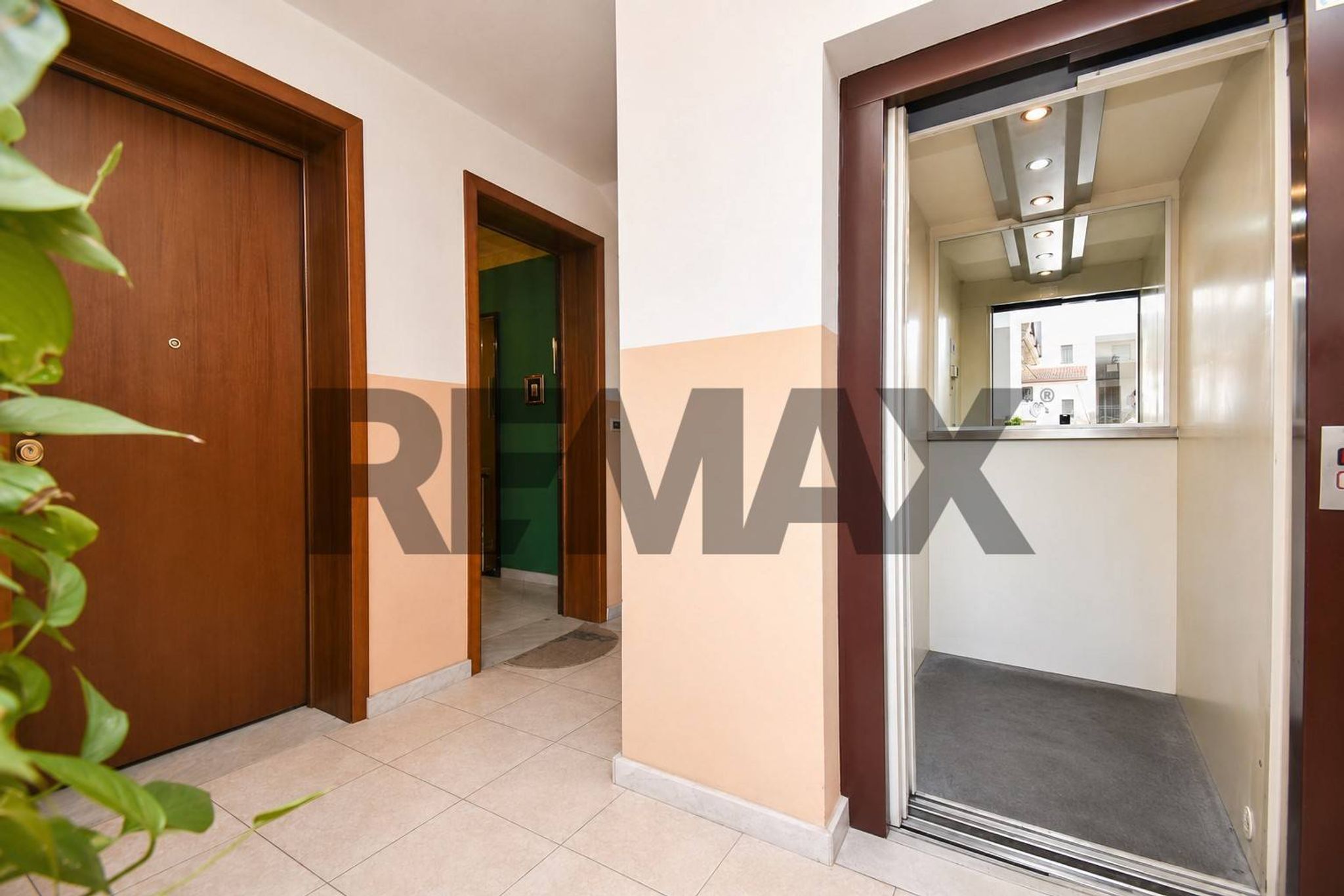 Hall / corridoio