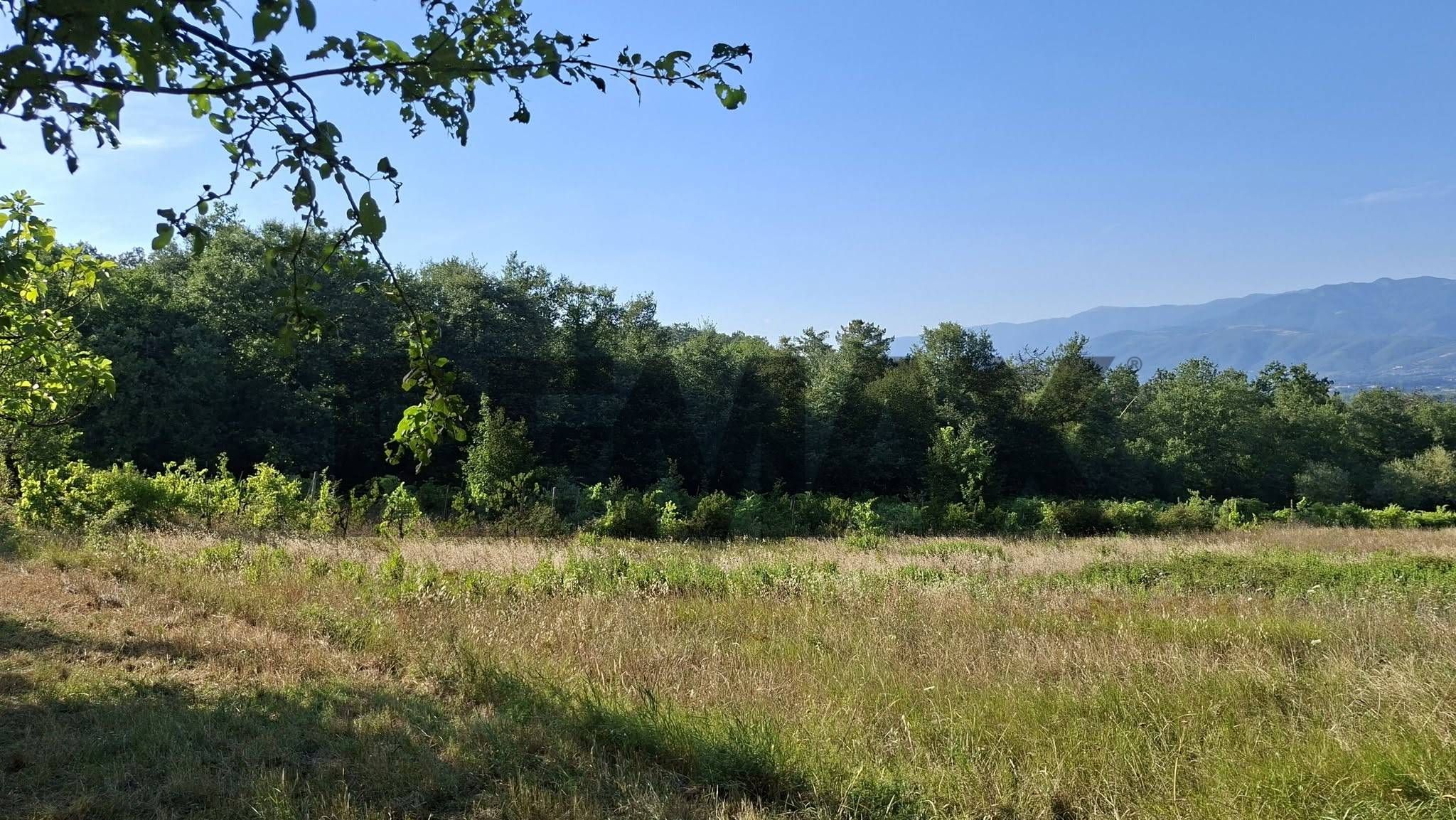 Vista delle montagne