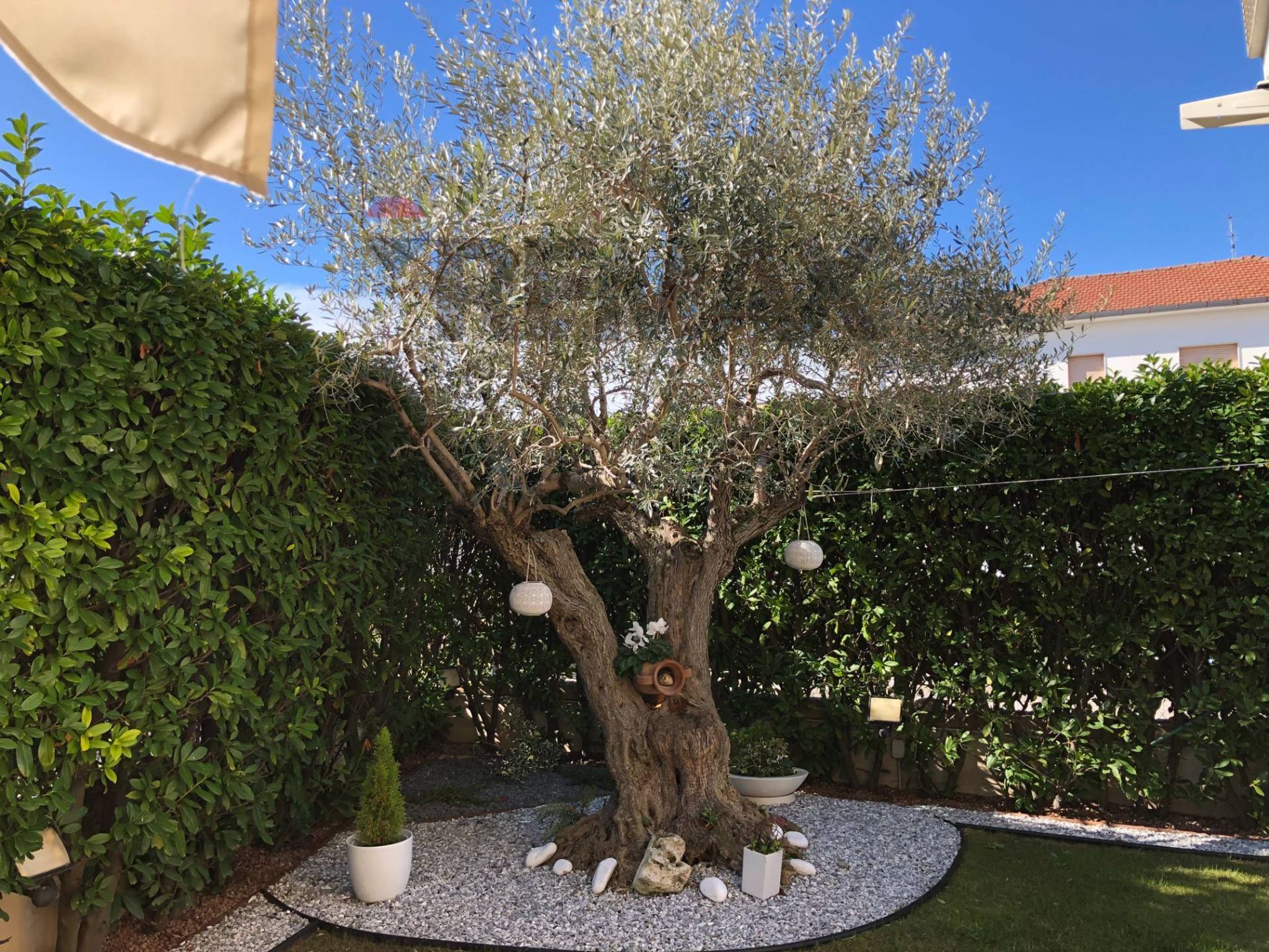 Giardino