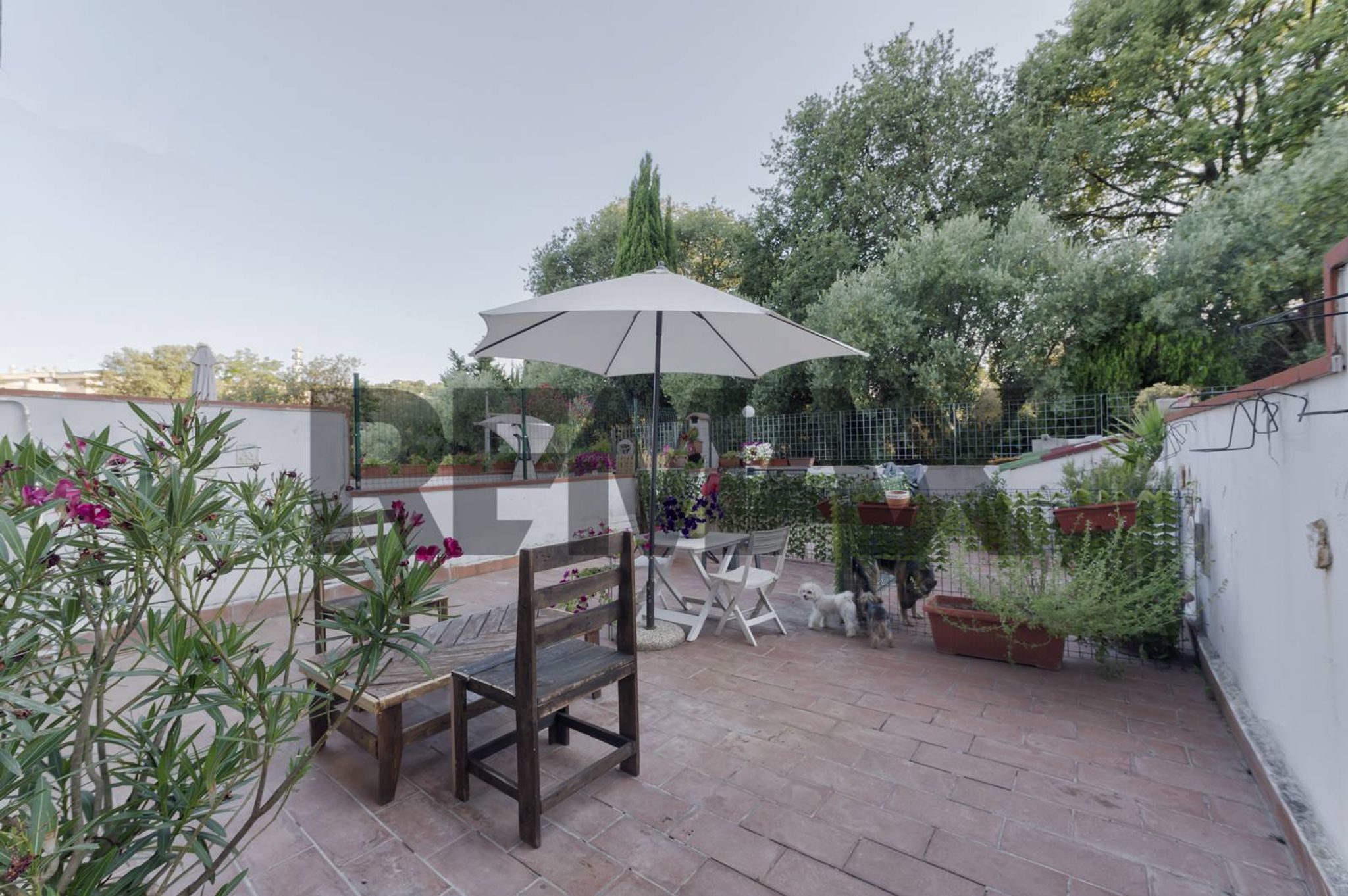 Terrazza