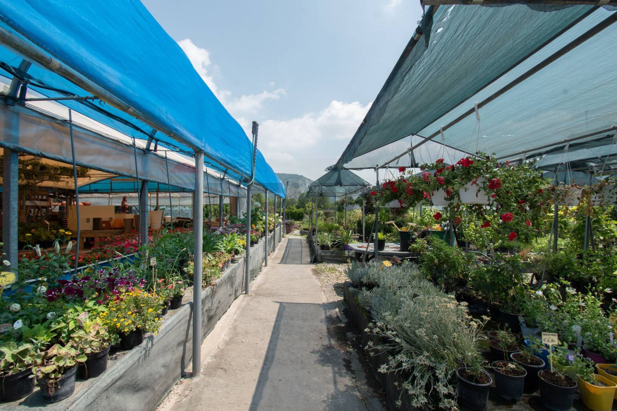 Terrazza