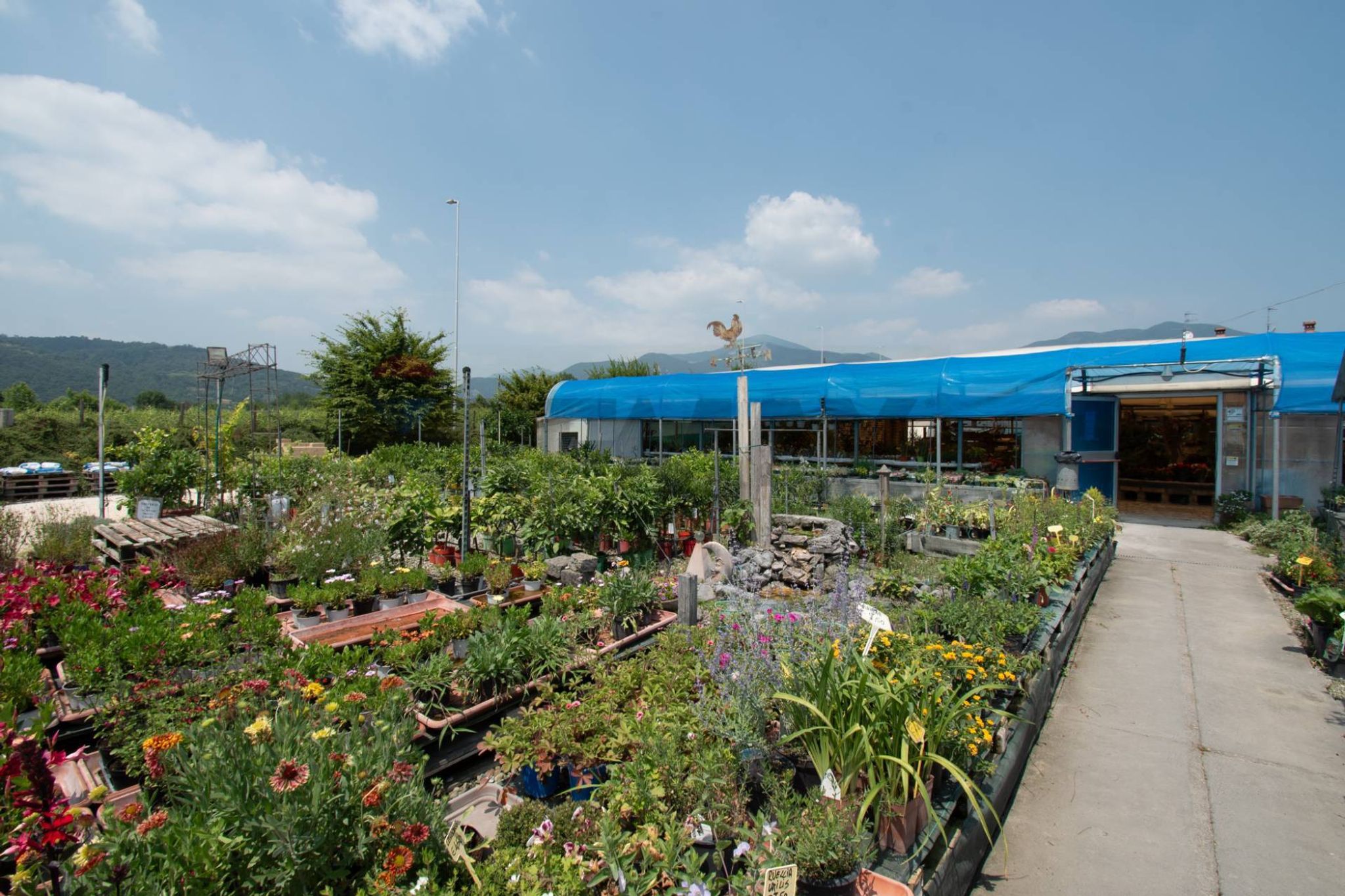 Giardino