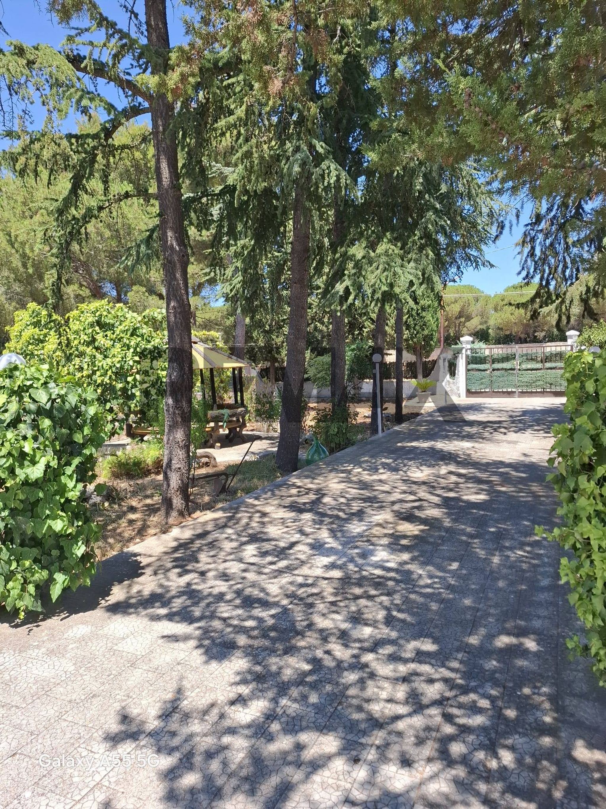 Giardino