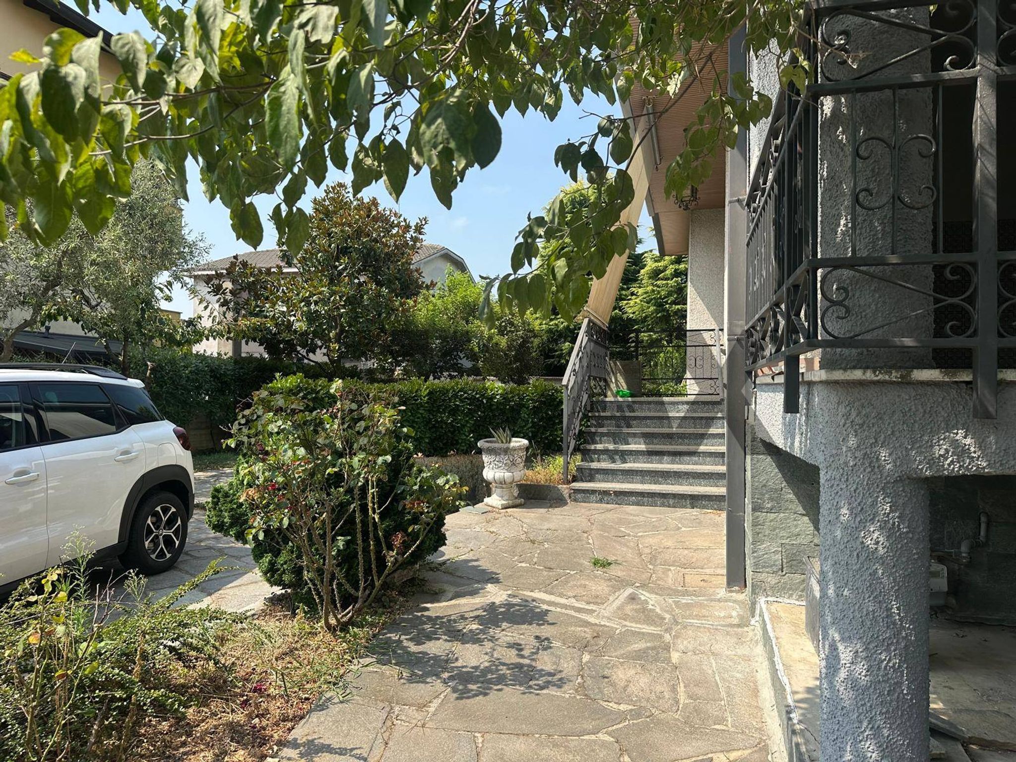 Giardino