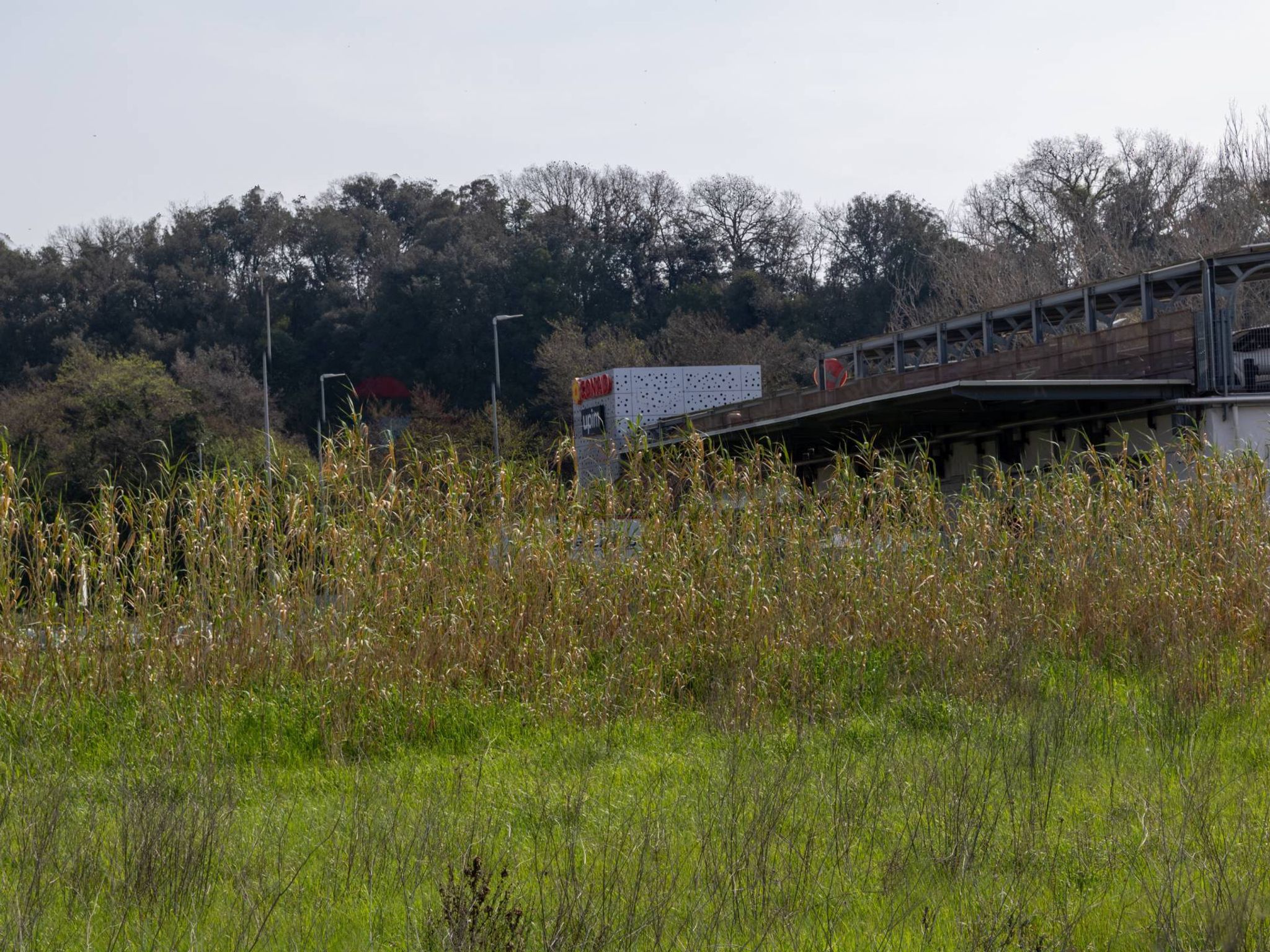 Property in Ardea