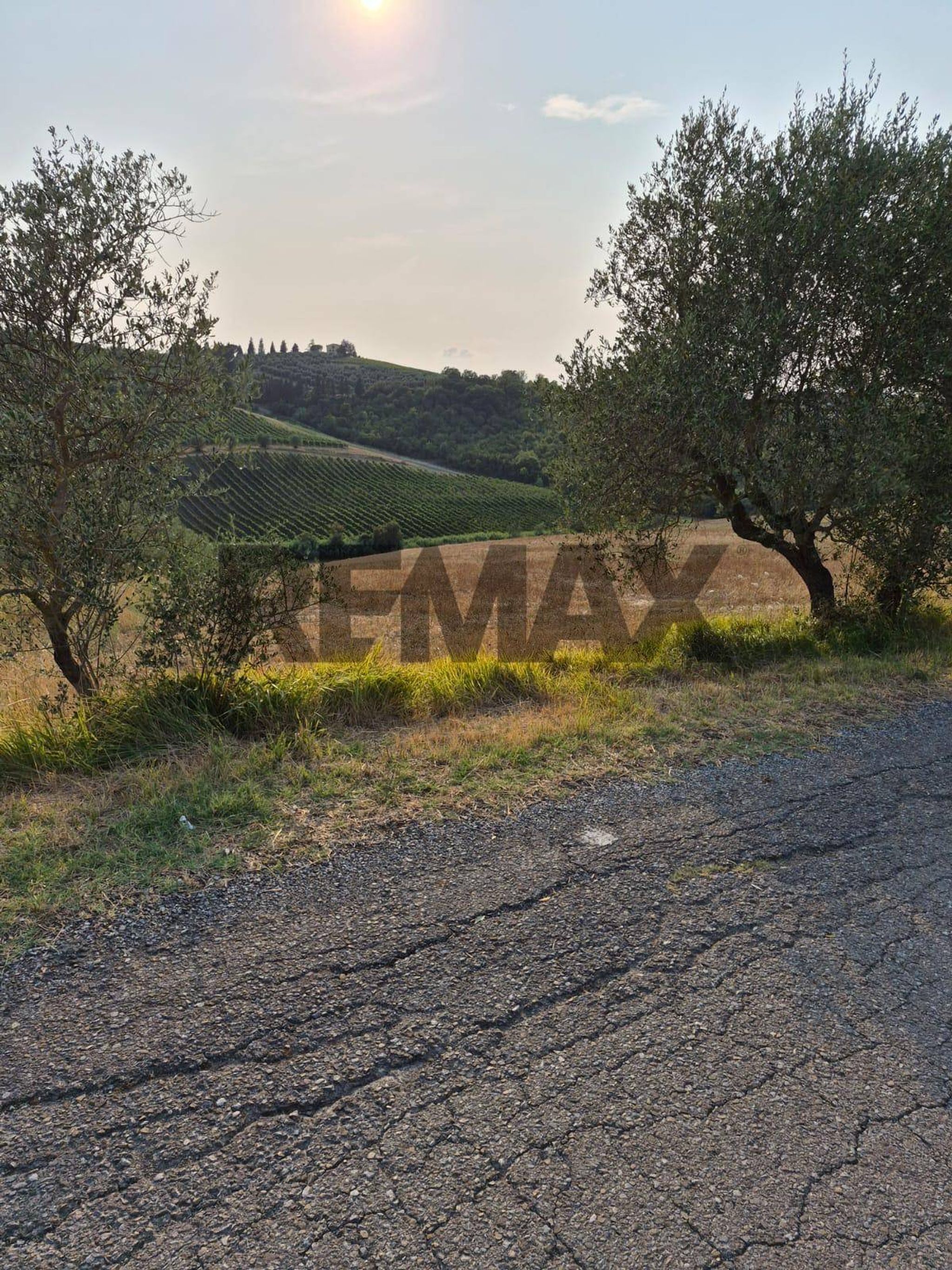 Property in Montespertoli