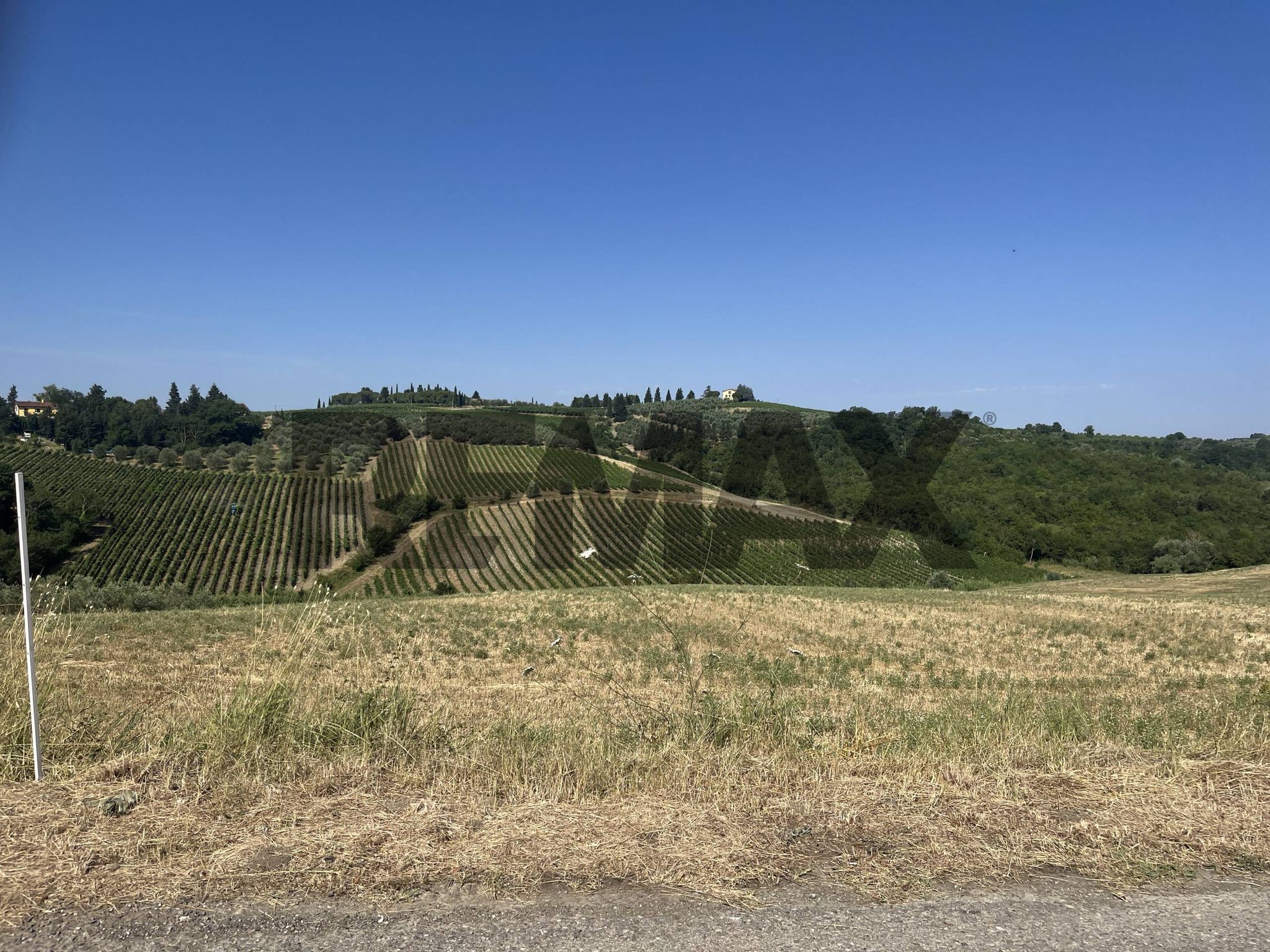 Vista delle montagne