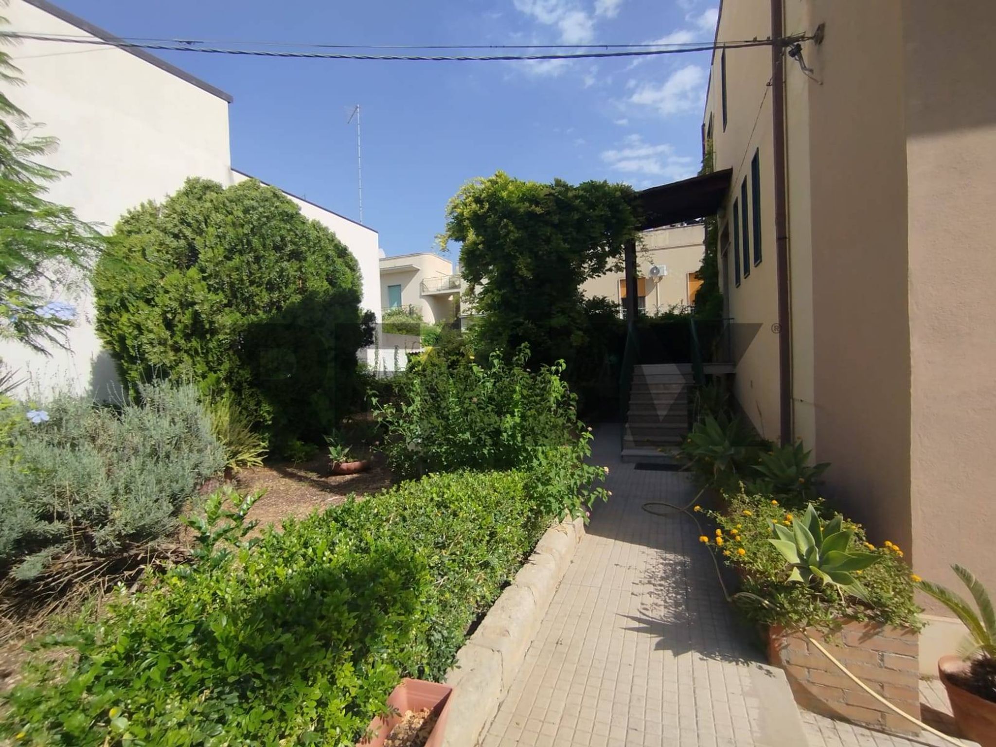 Giardino