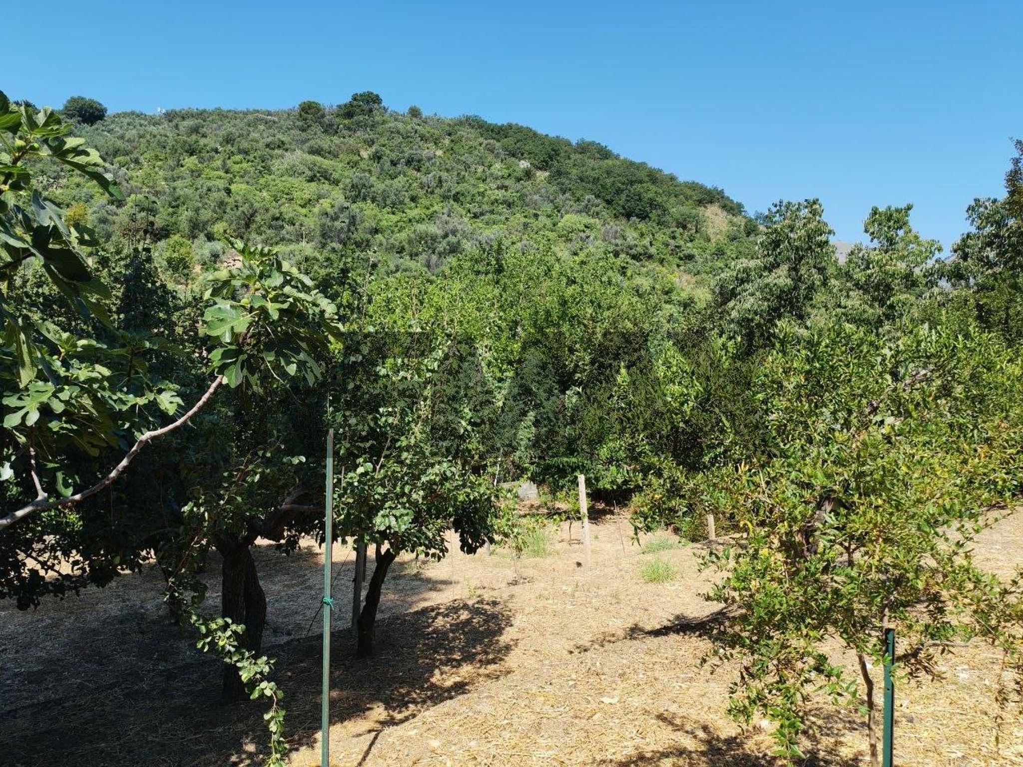 Vista delle montagne