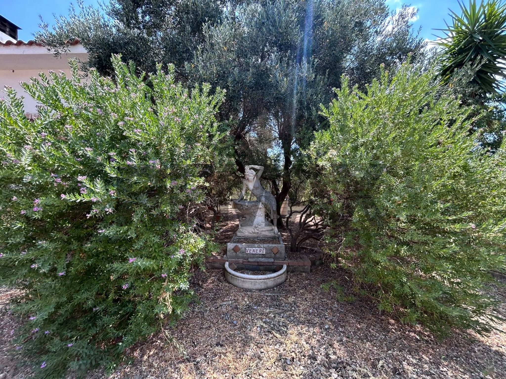 Giardino