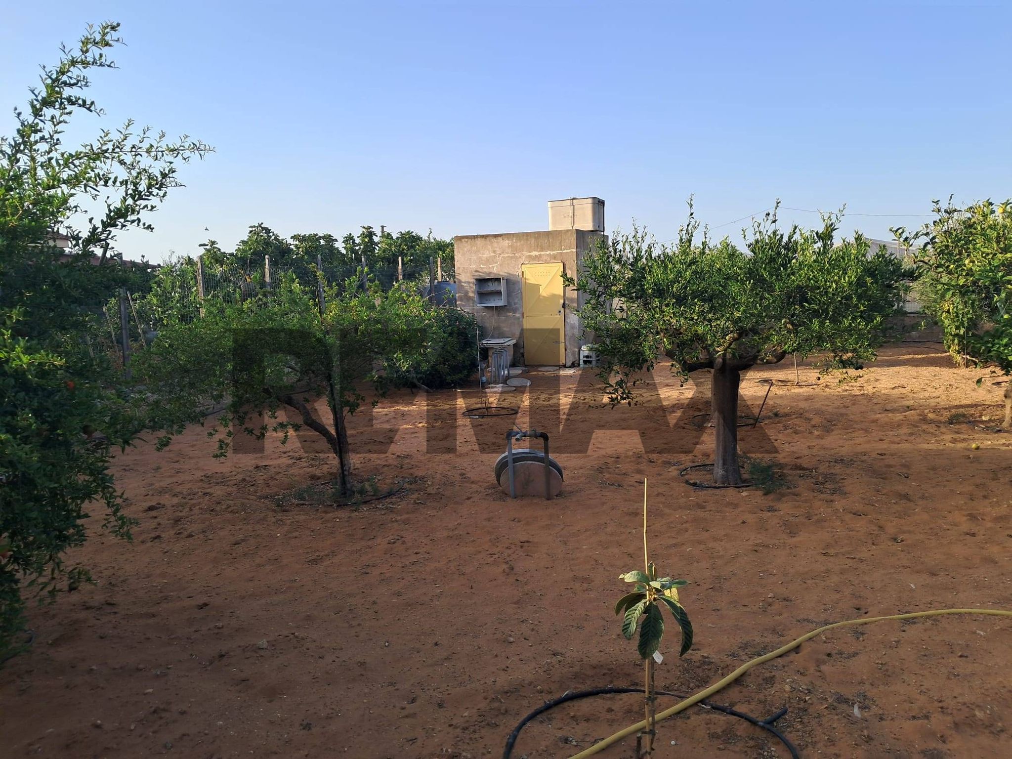 Giardino