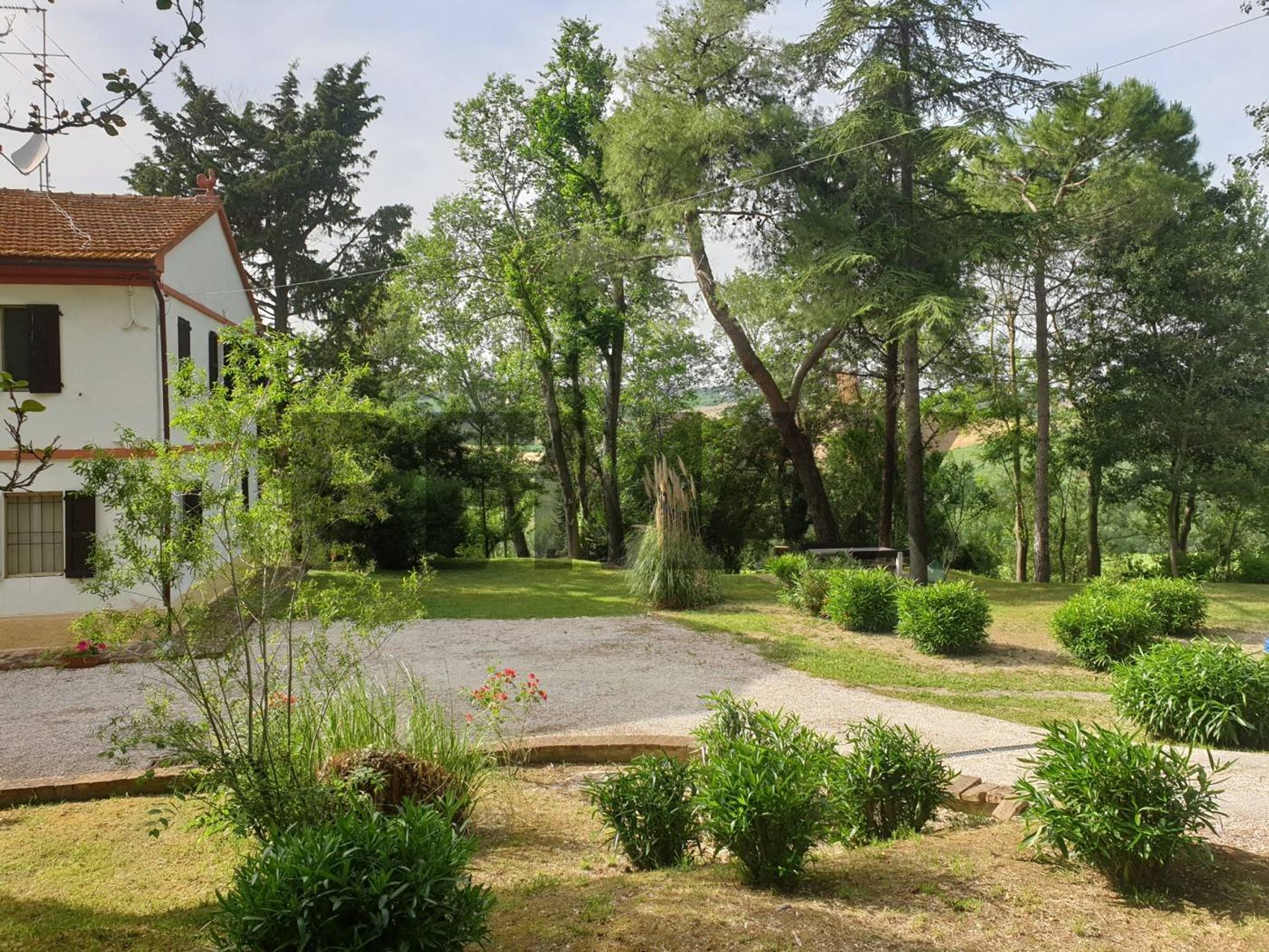 Giardino