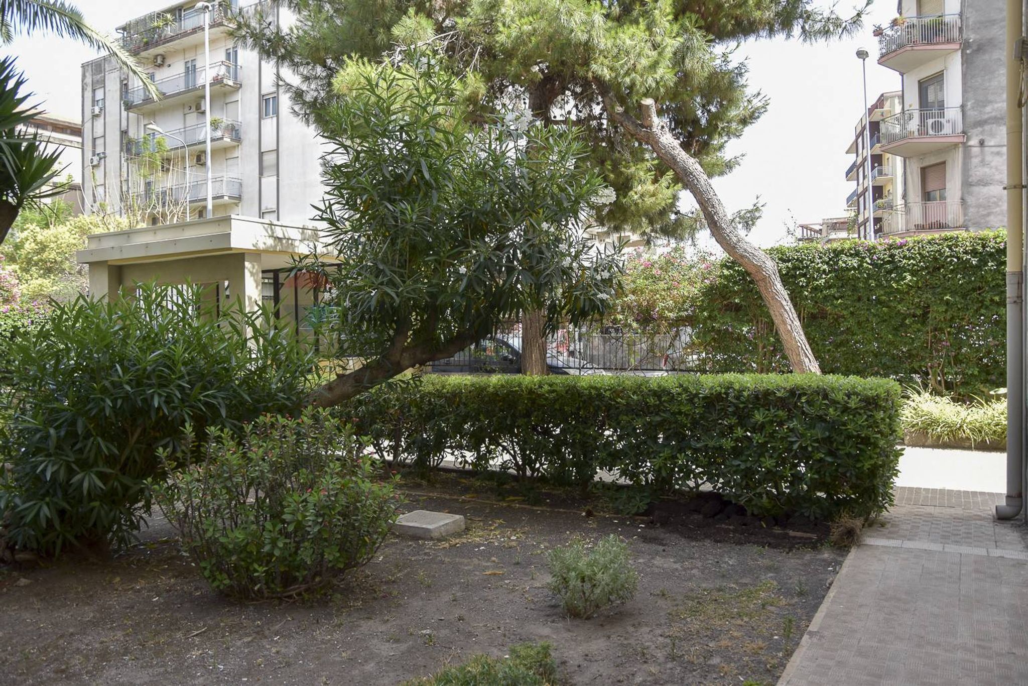 Giardino