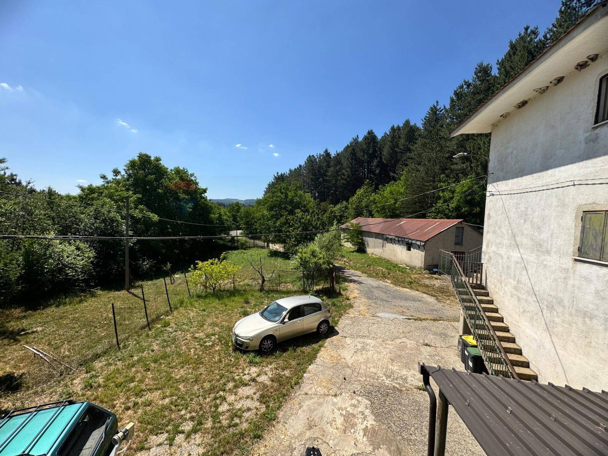Giardino
