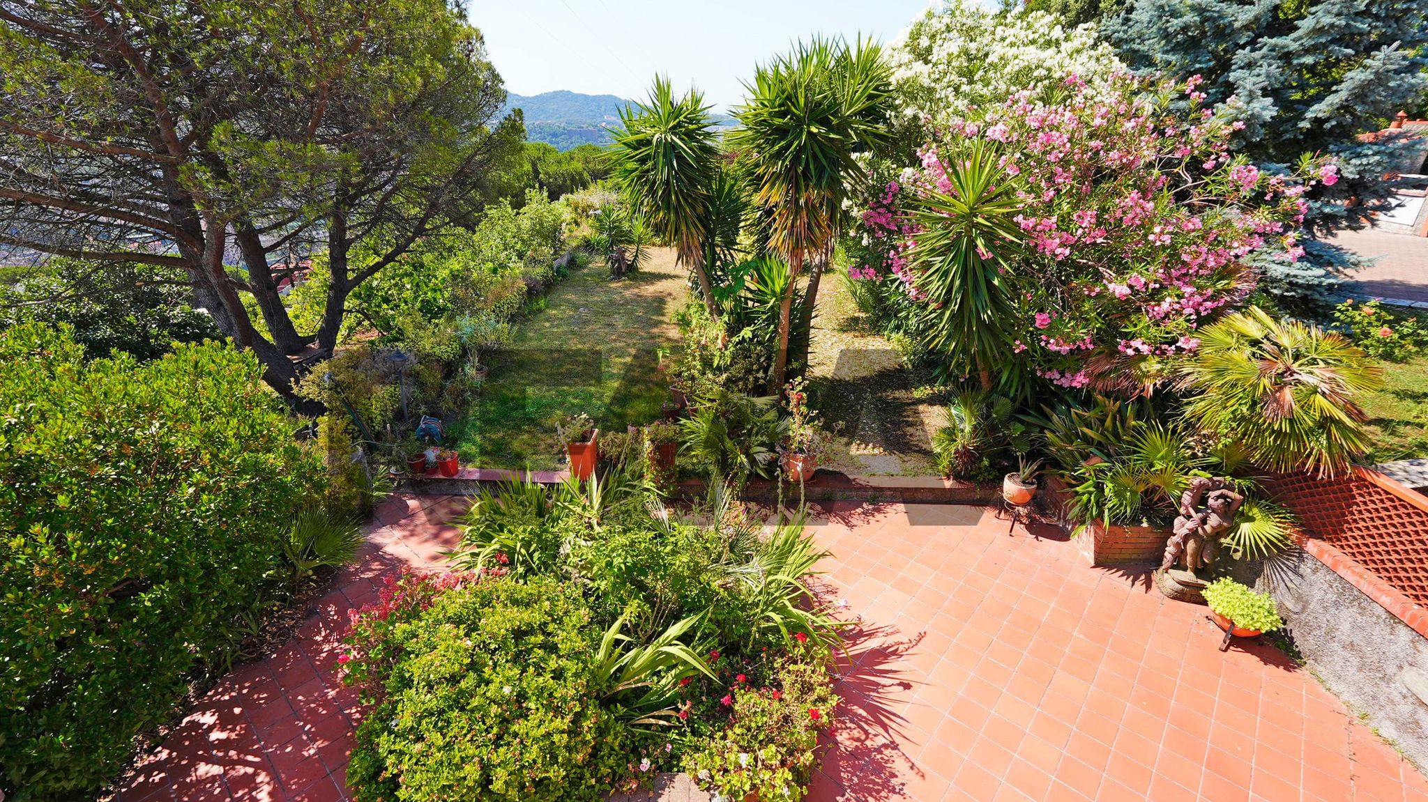 Giardino