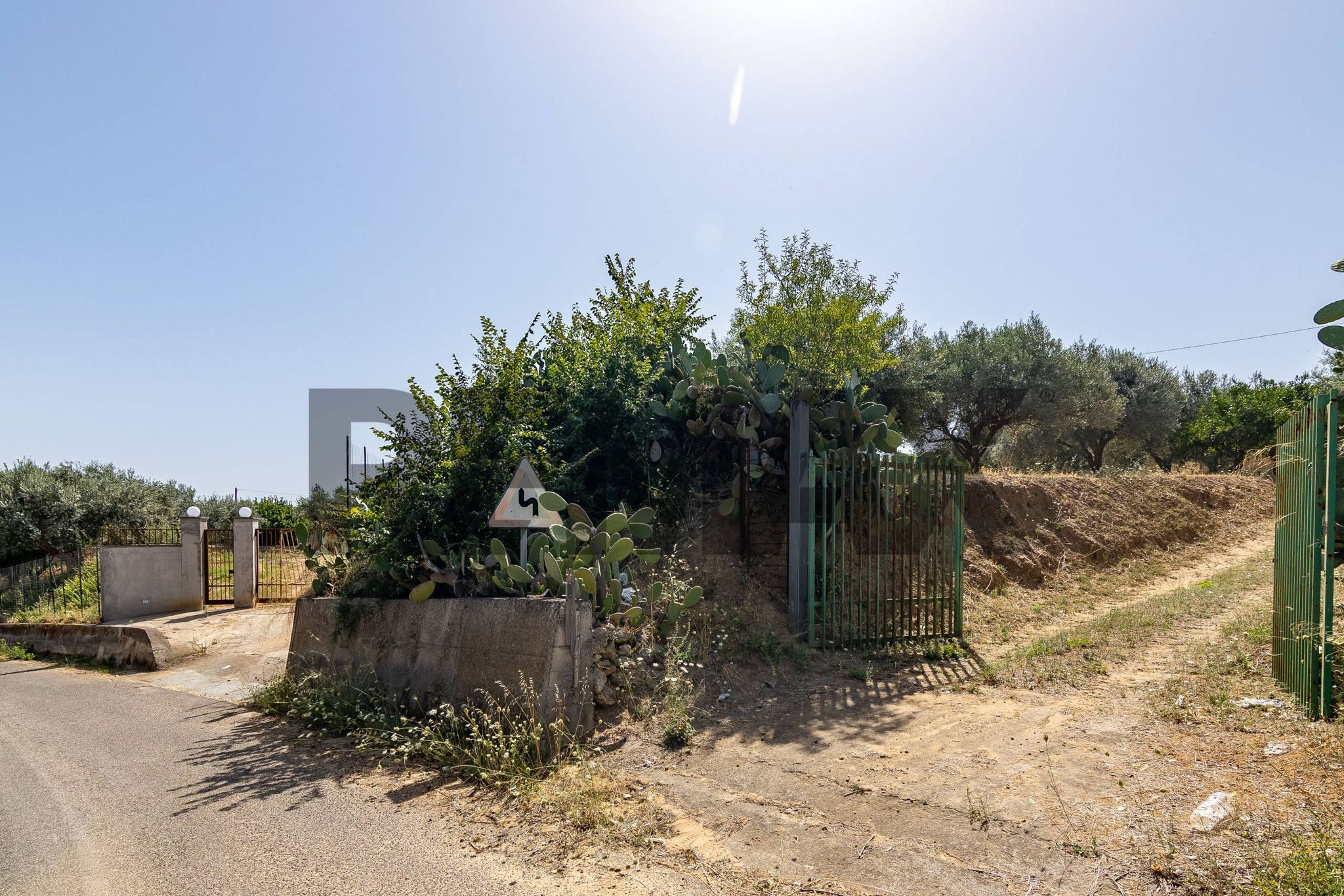 Giardino