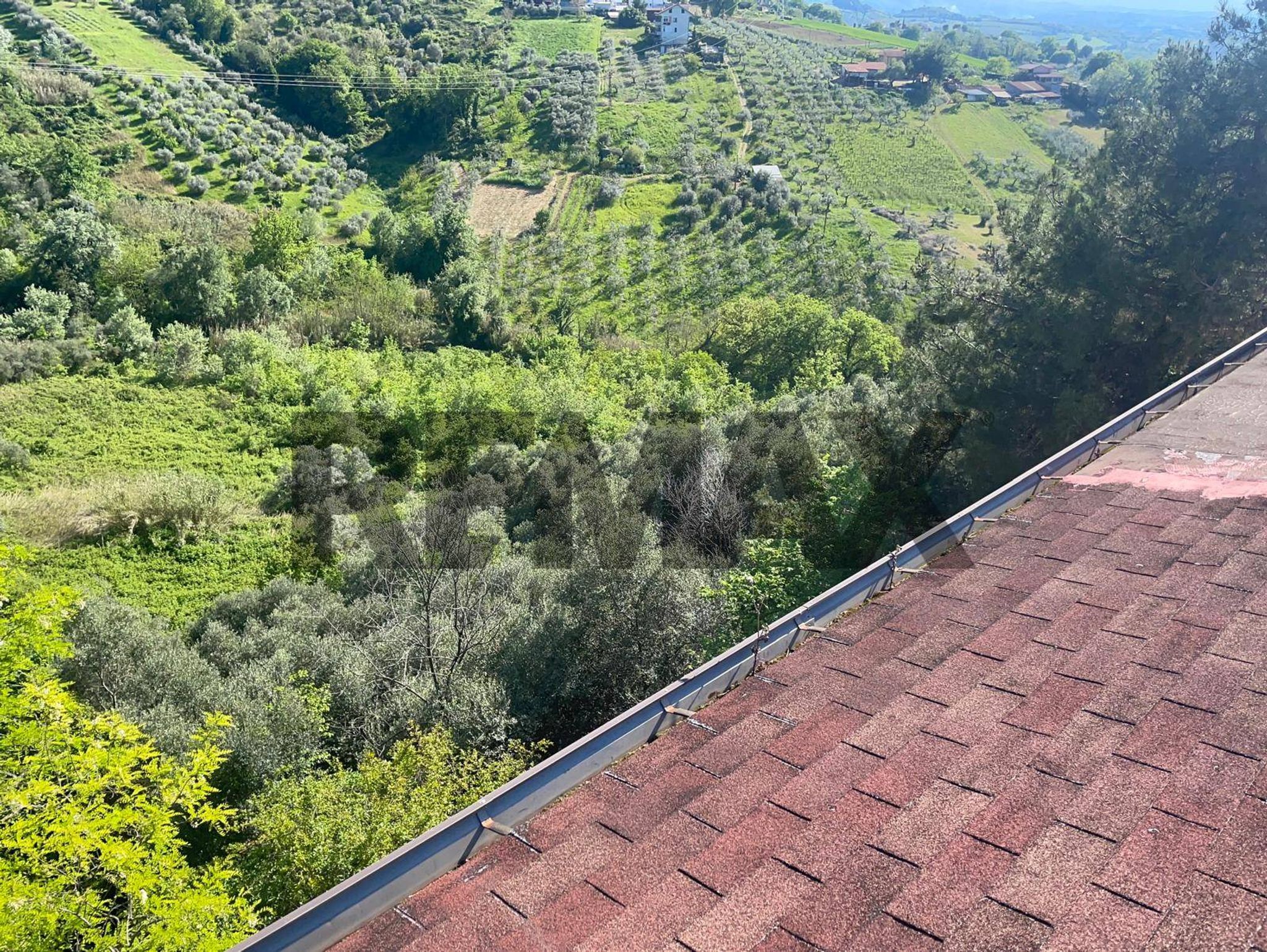 Vista delle montagne