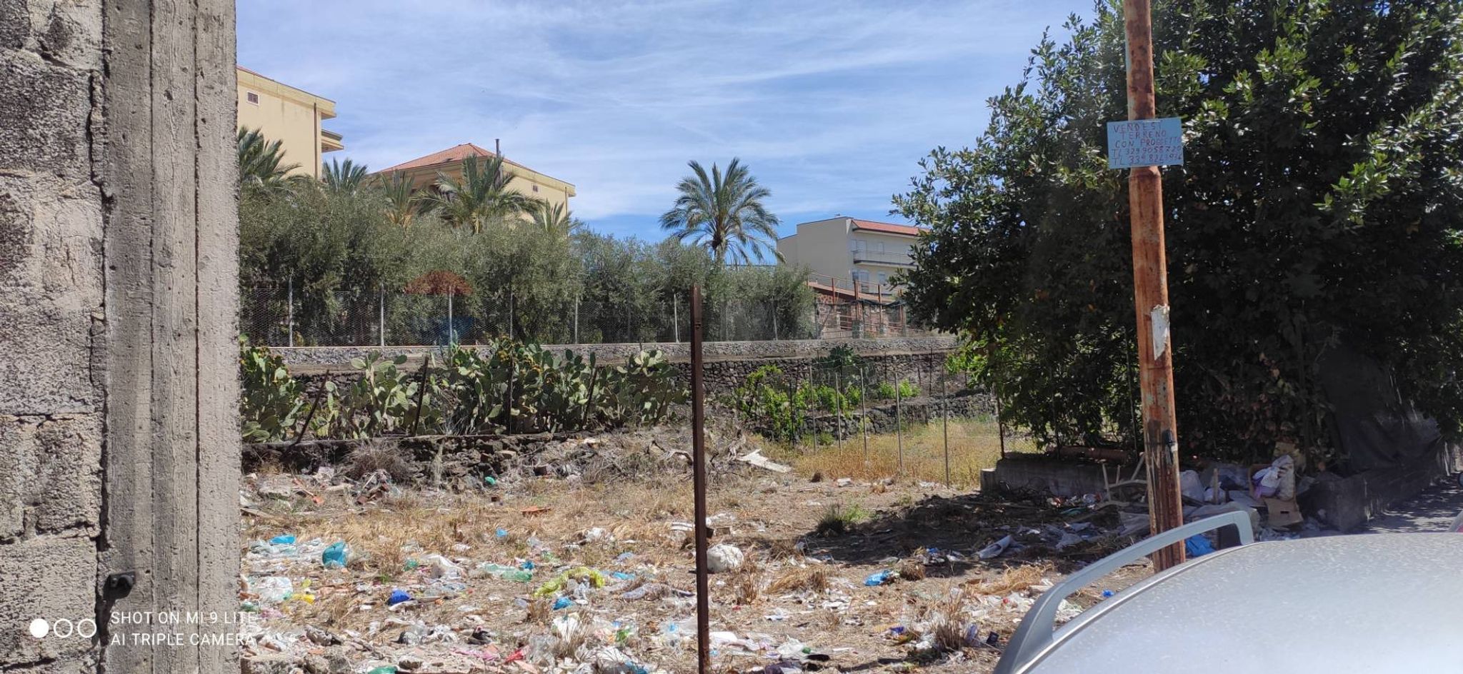 Giardino