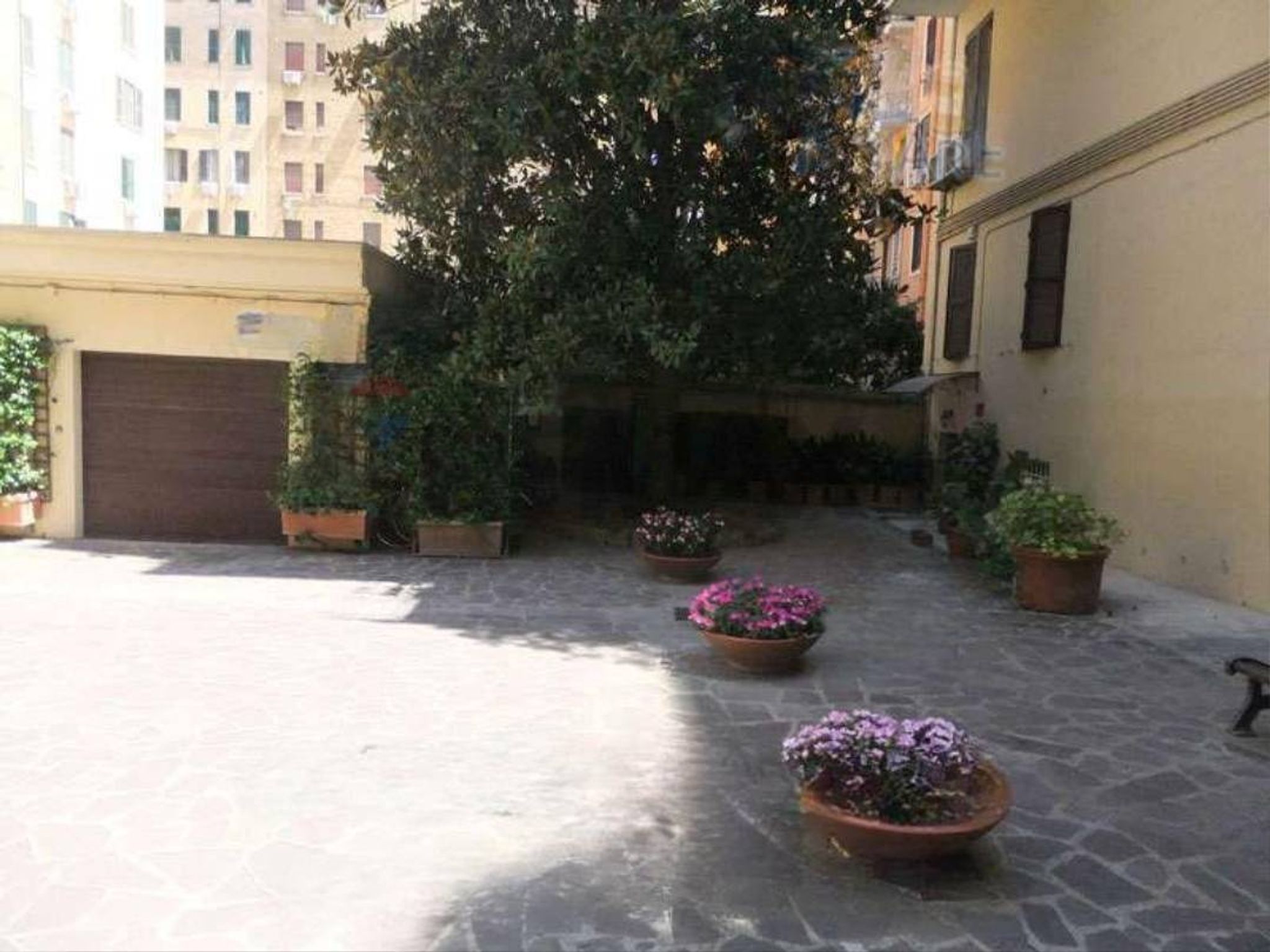 Immobile a Roma