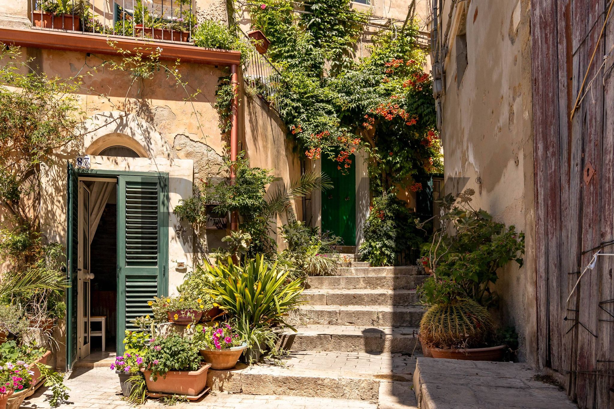 Giardino