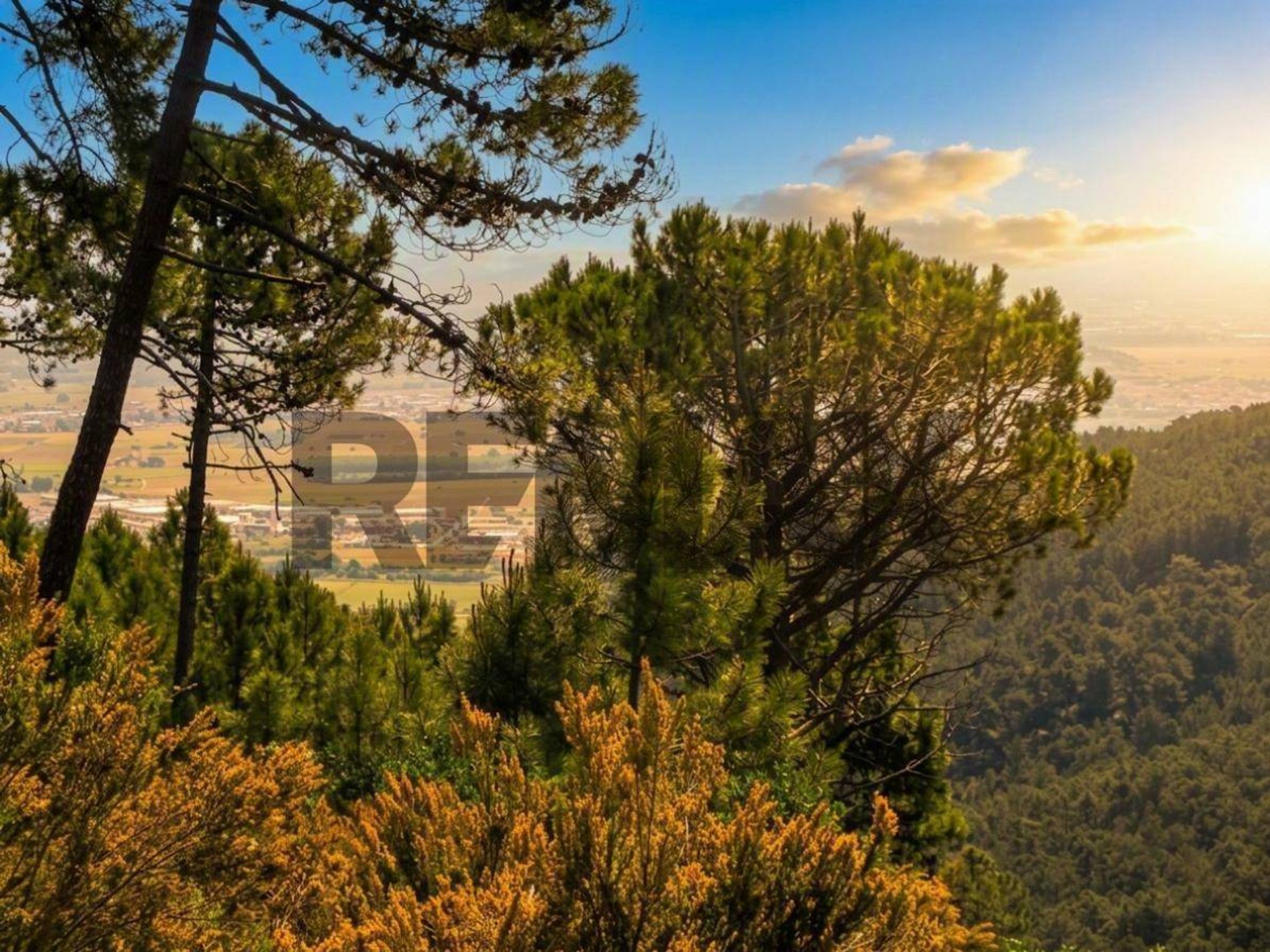 Vista delle montagne